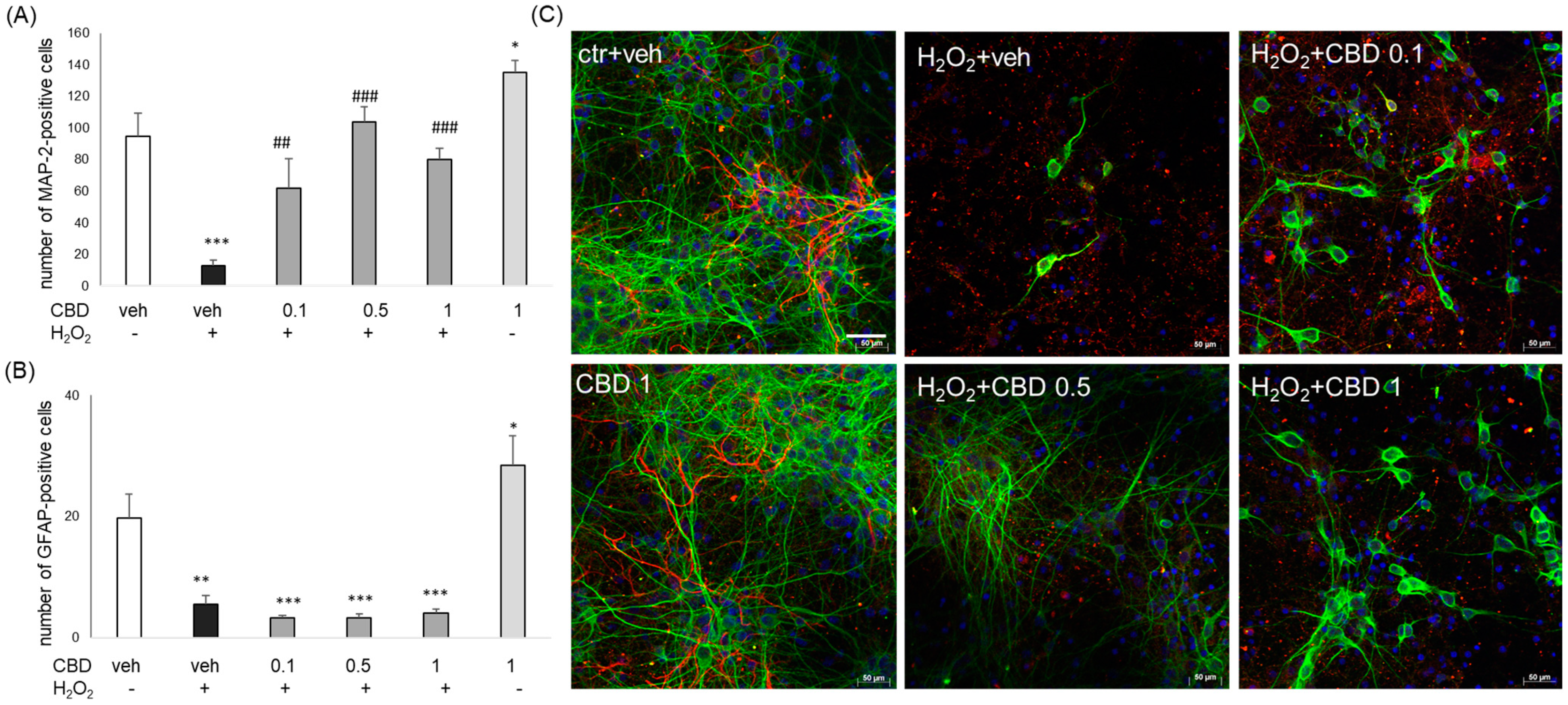 Biomolecules 14 00564 g006