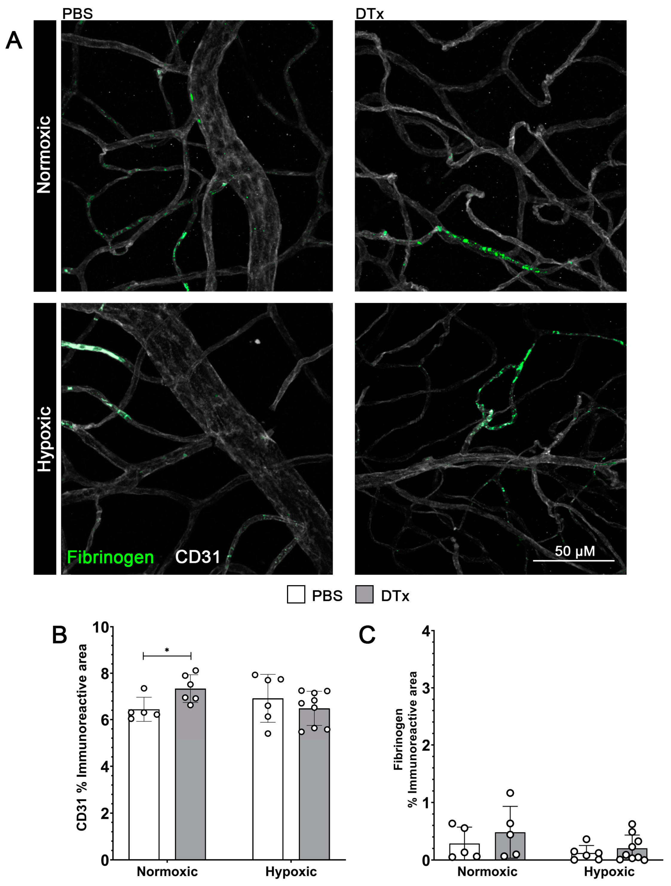 Biomolecules 14 00567 g003