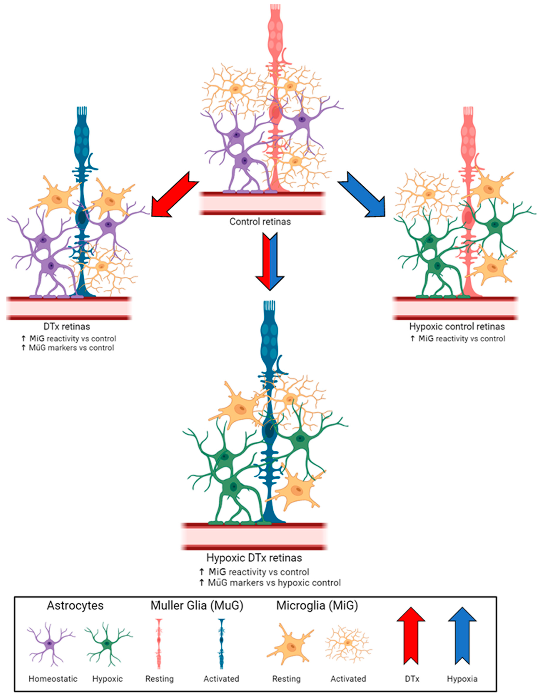 Biomolecules 14 00567 g006