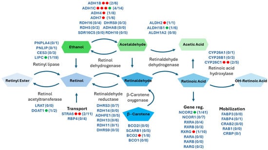 Biomolecules 14 00569 g002