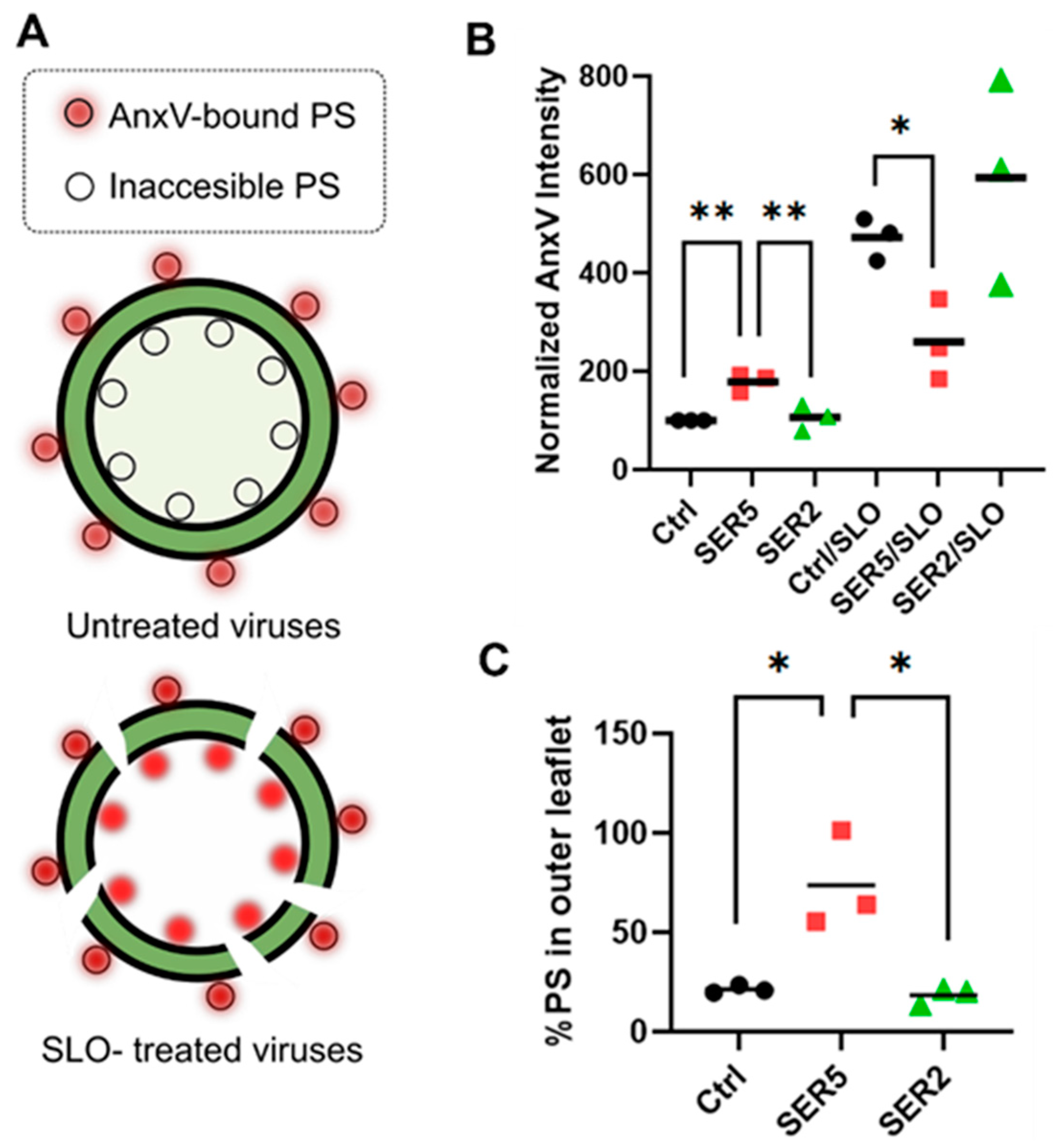 Biomolecules 14 00570 g003