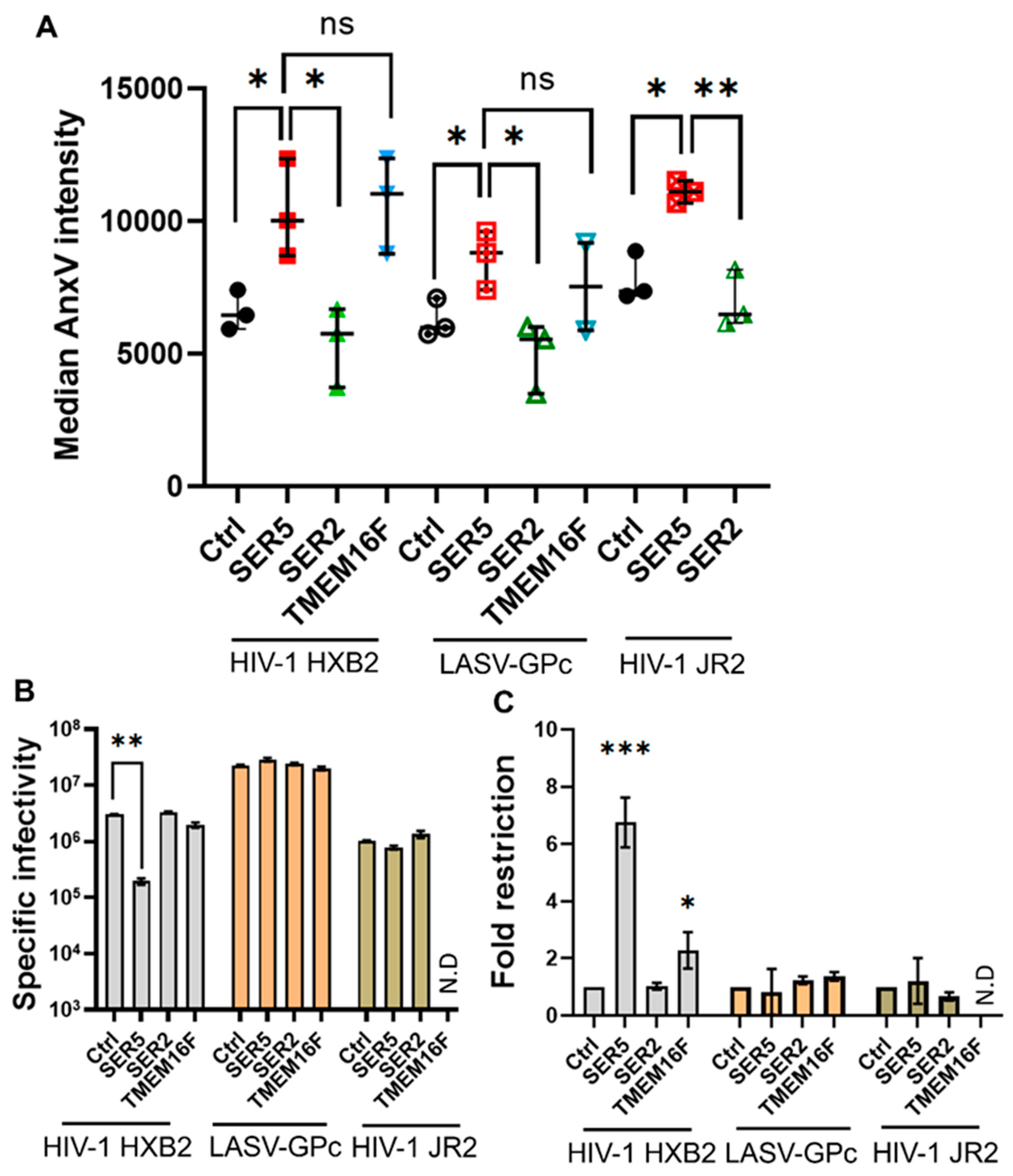 Biomolecules 14 00570 g004