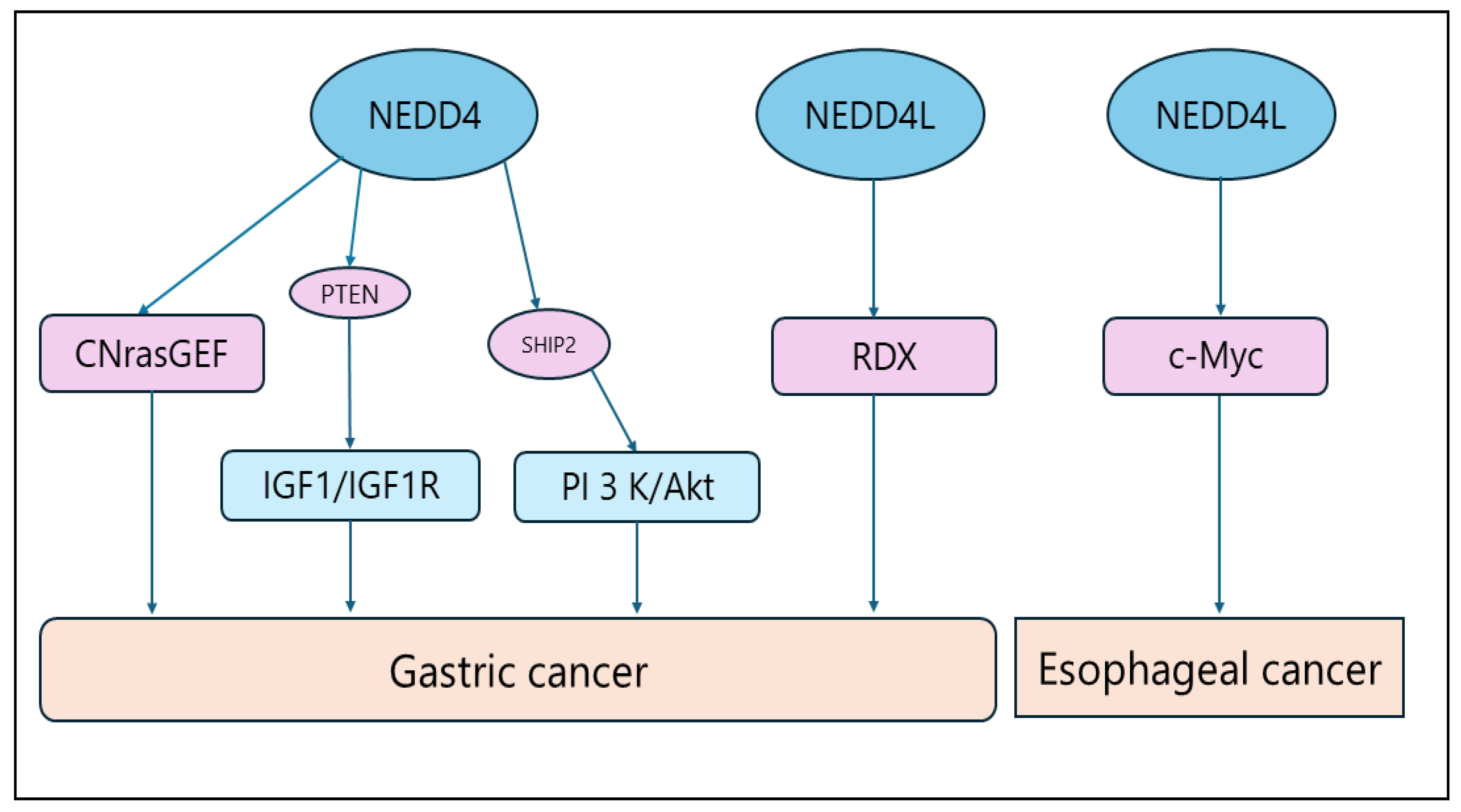 Biomolecules 14 00577 g003