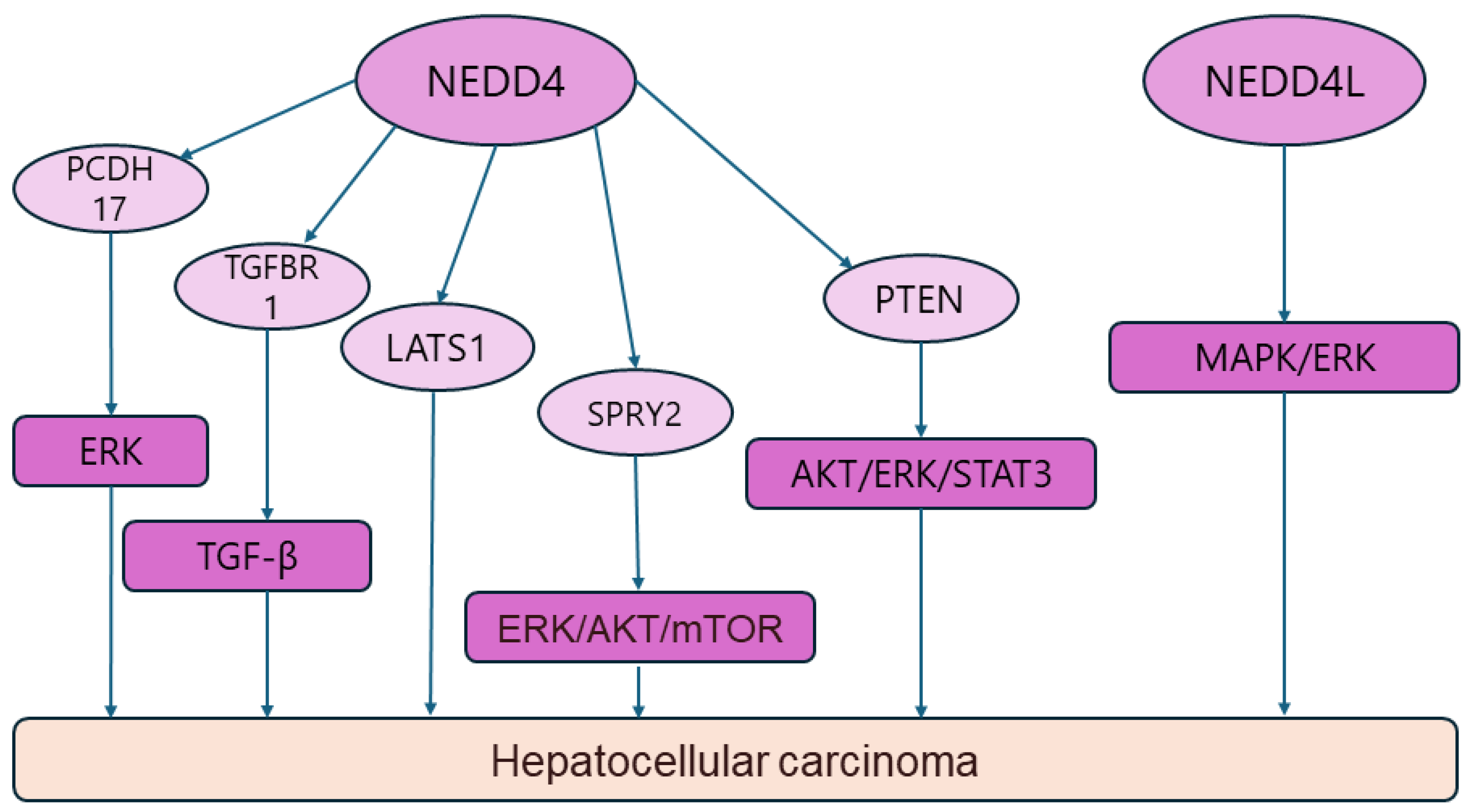 Biomolecules 14 00577 g005