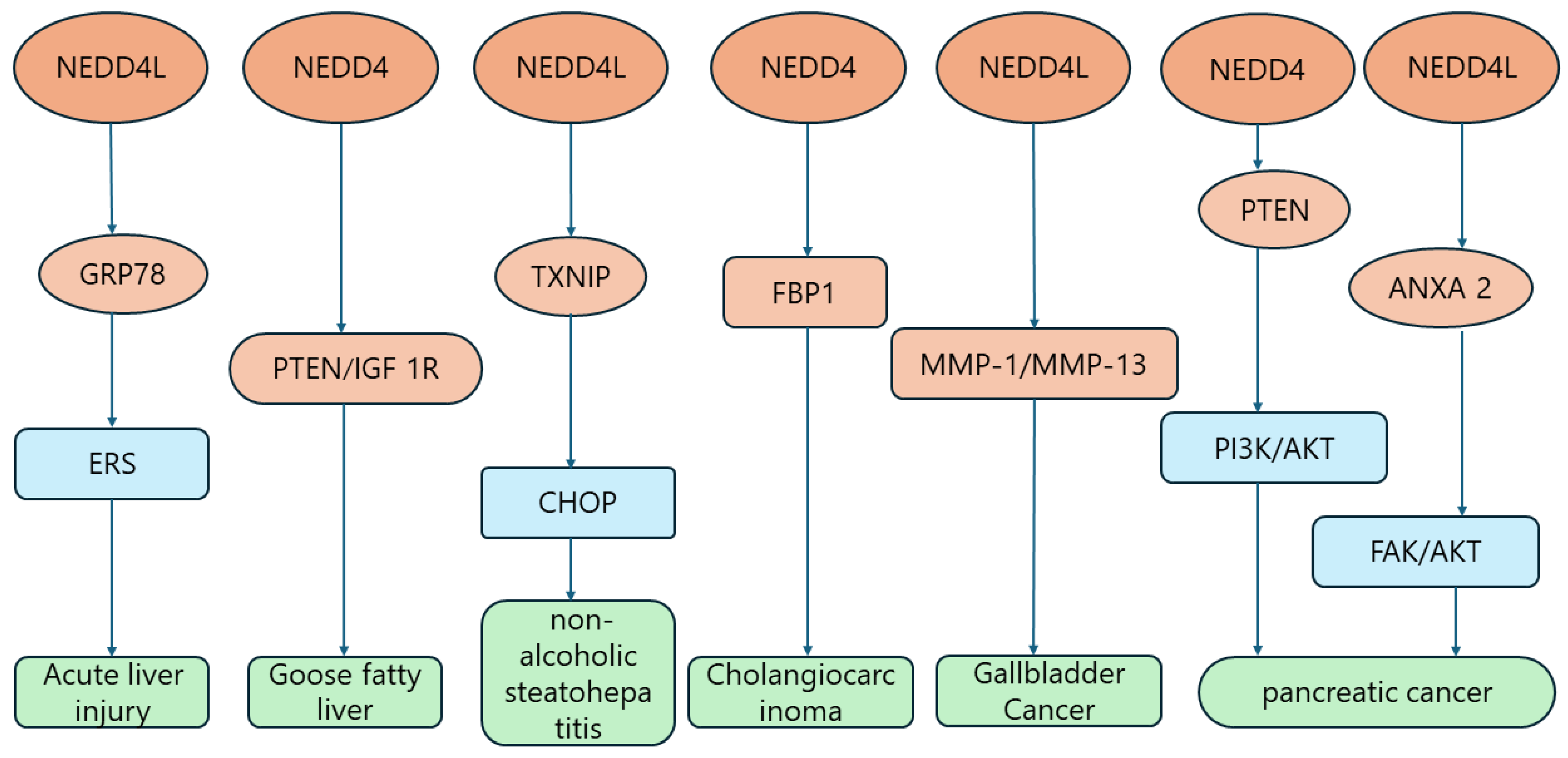 Biomolecules 14 00577 g006