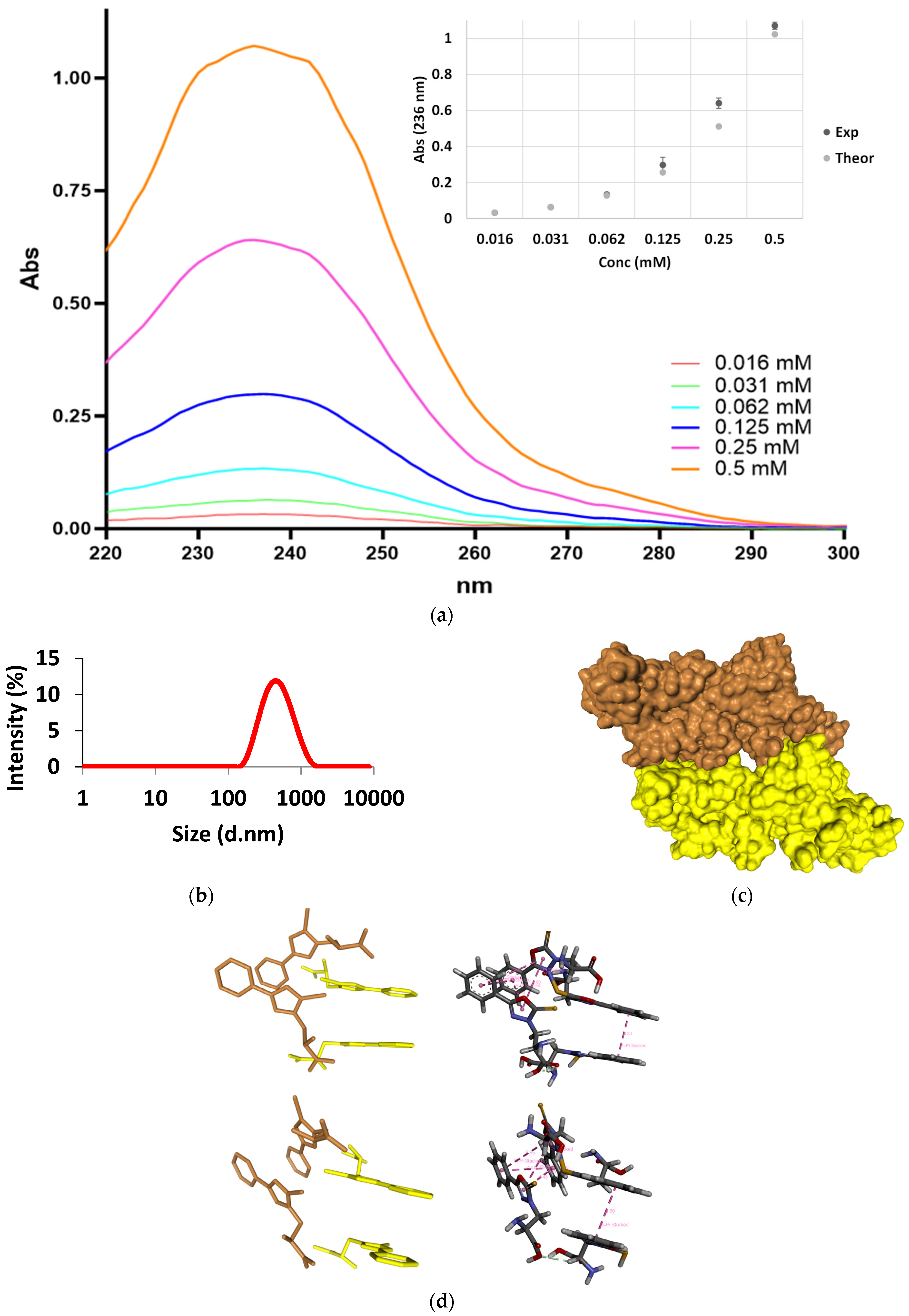 Biomolecules 14 00579 g001