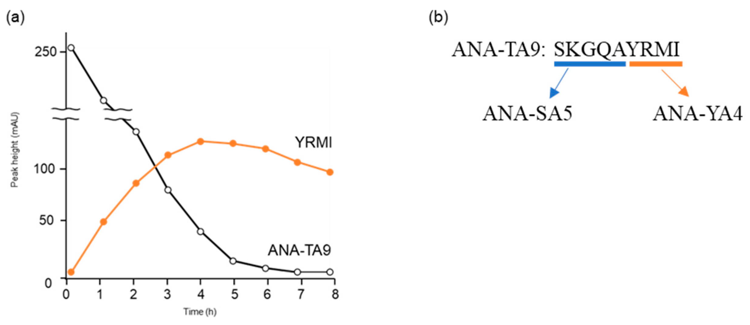 Biomolecules 14 00586 g001
