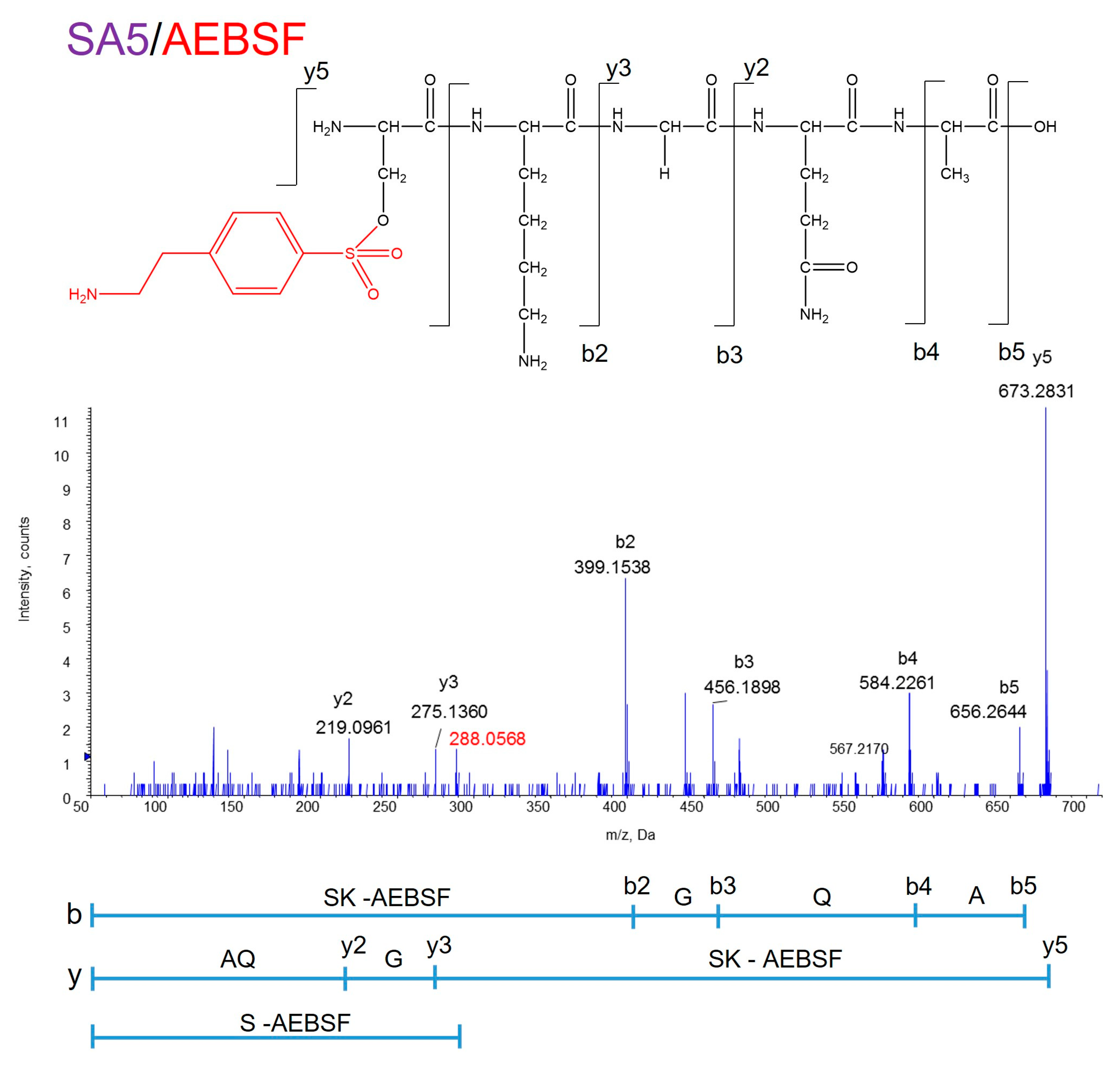 Biomolecules 14 00586 g003