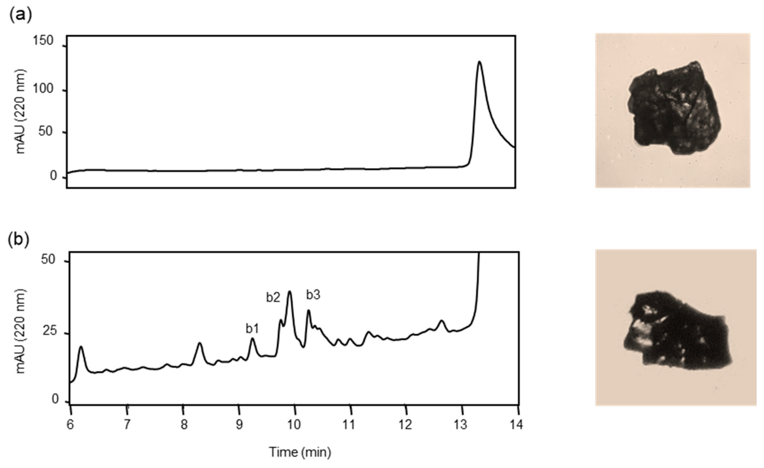 Biomolecules 14 00586 g007