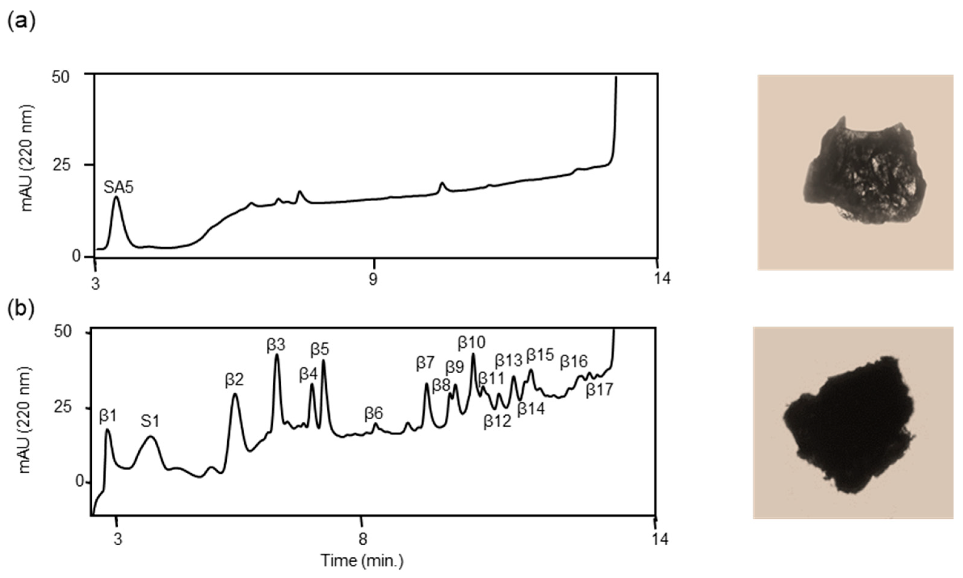 Biomolecules 14 00586 g008