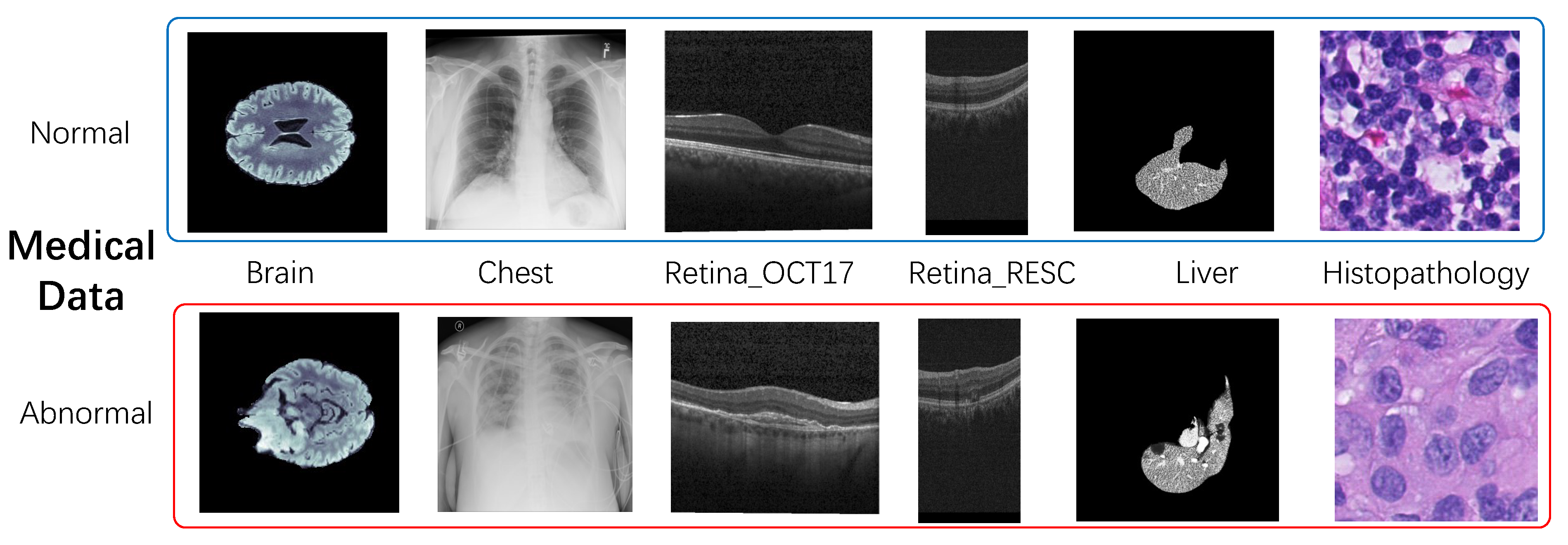 Biomolecules 14 00590 g005