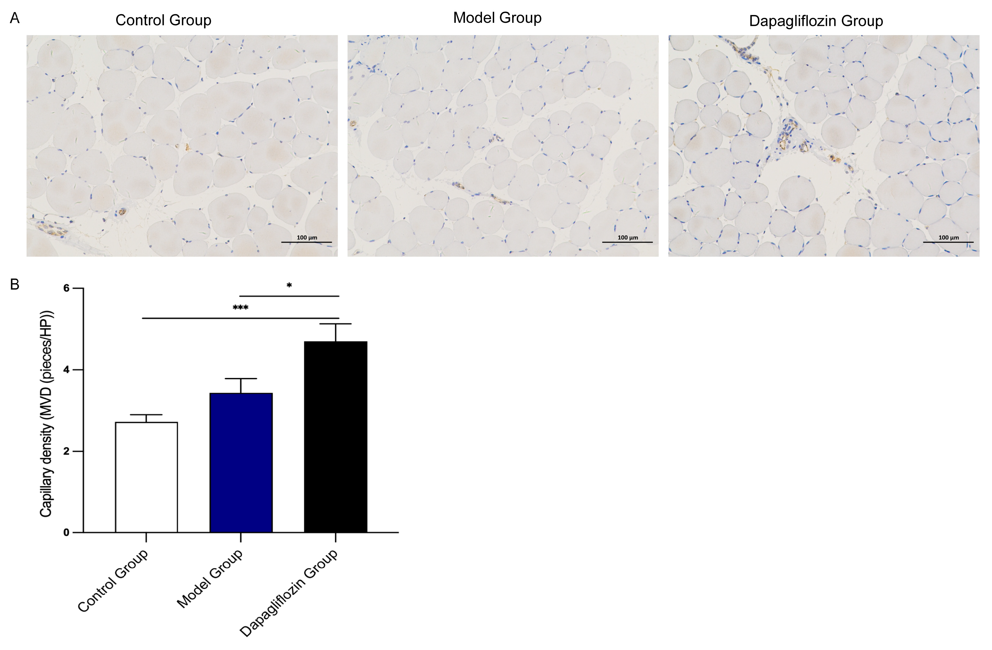 Biomolecules 14 00592 g002 Biomolecules 14 00592 g002