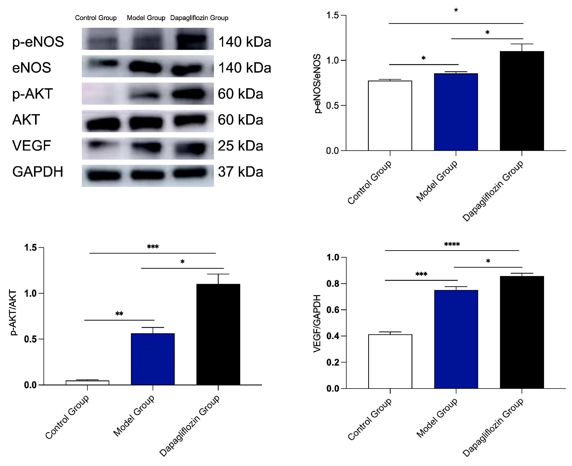 Biomolecules 14 00592 g004 Biomolecules 14 00592 g004