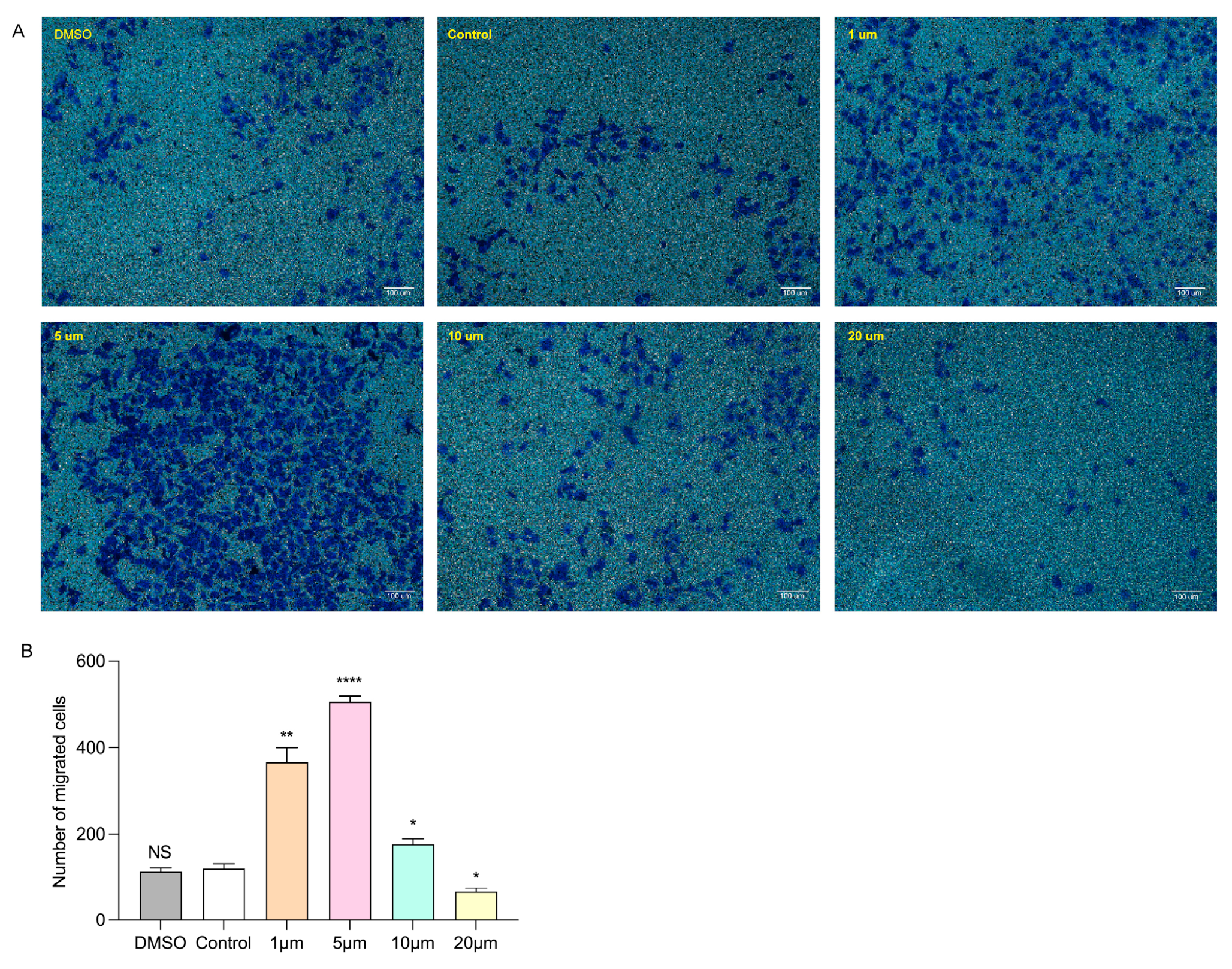 Biomolecules 14 00592 g006 Biomolecules 14 00592 g006