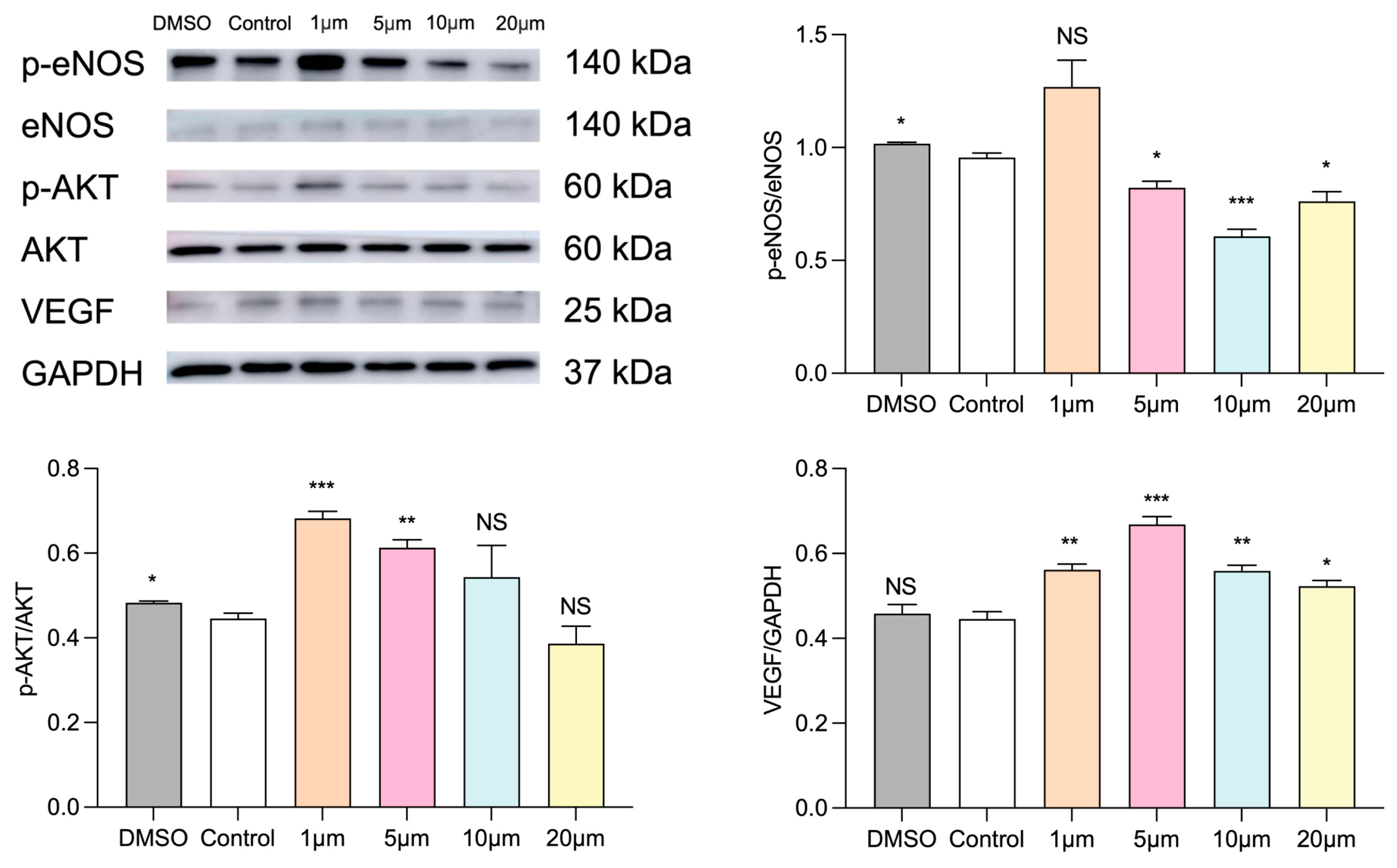 Biomolecules 14 00592 g008 Biomolecules 14 00592 g008