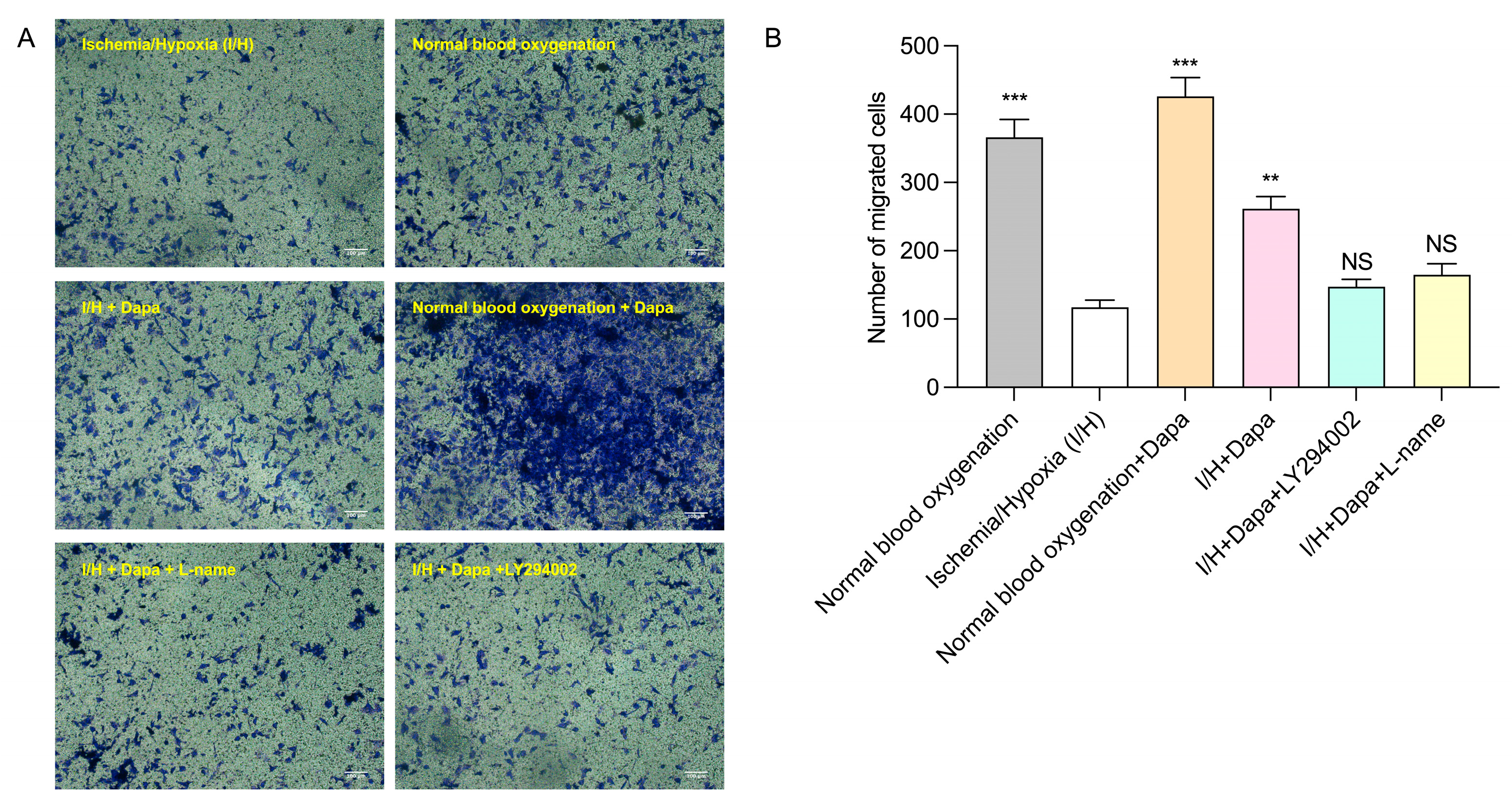 Biomolecules 14 00592 g010 Biomolecules 14 00592 g010