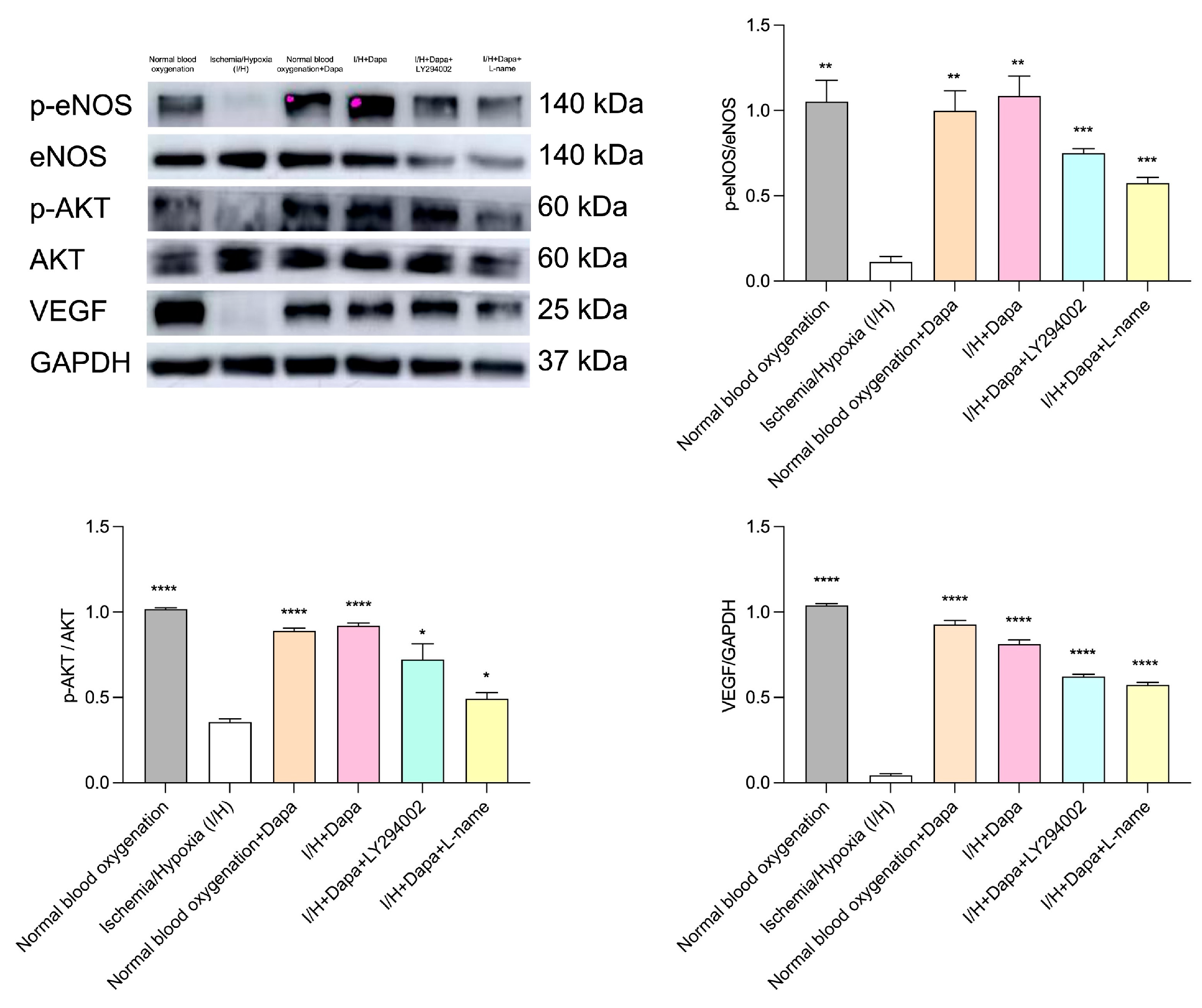 Biomolecules 14 00592 g012 Biomolecules 14 00592 g012