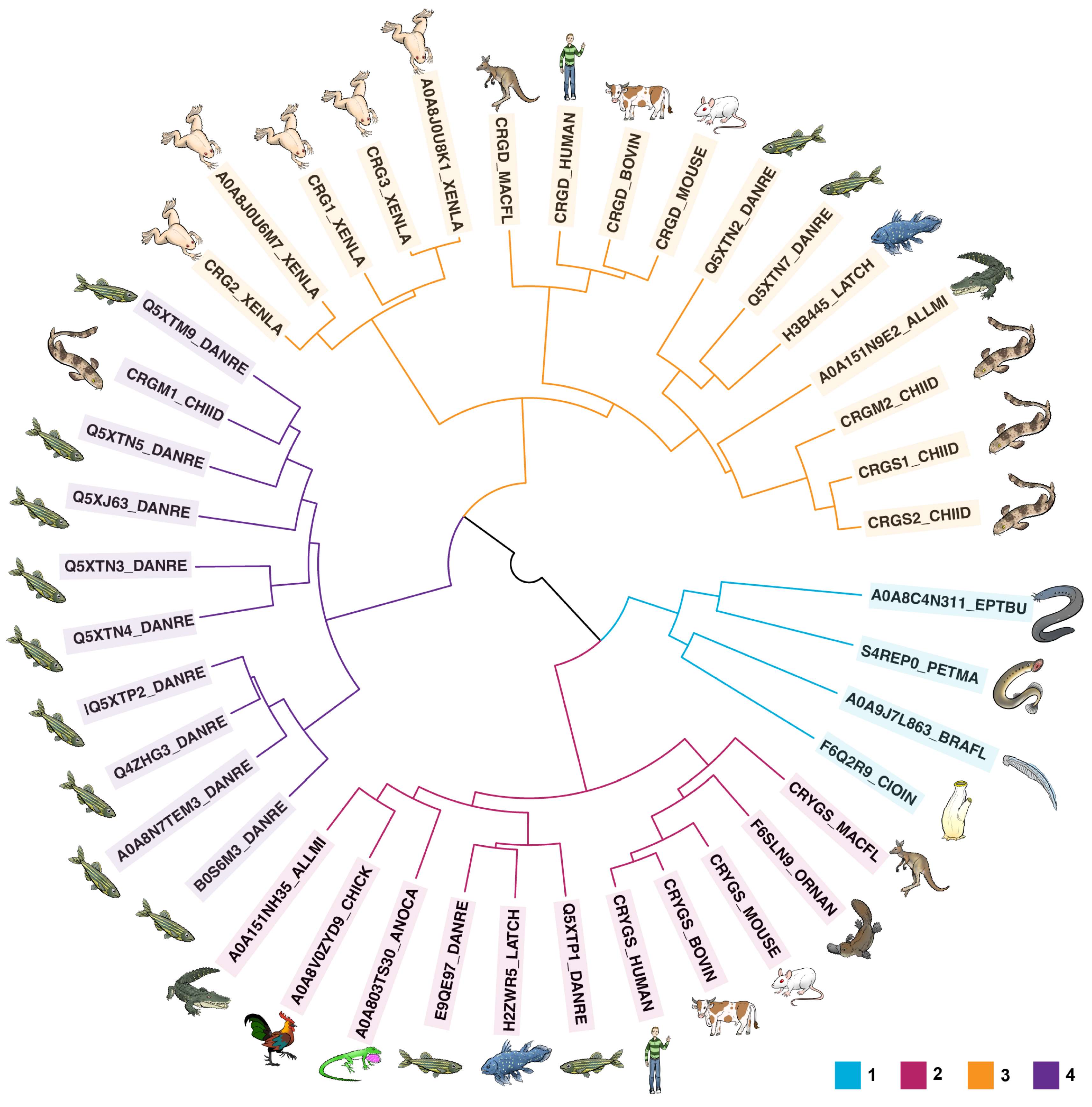 Biomolecules 14 00594 g001