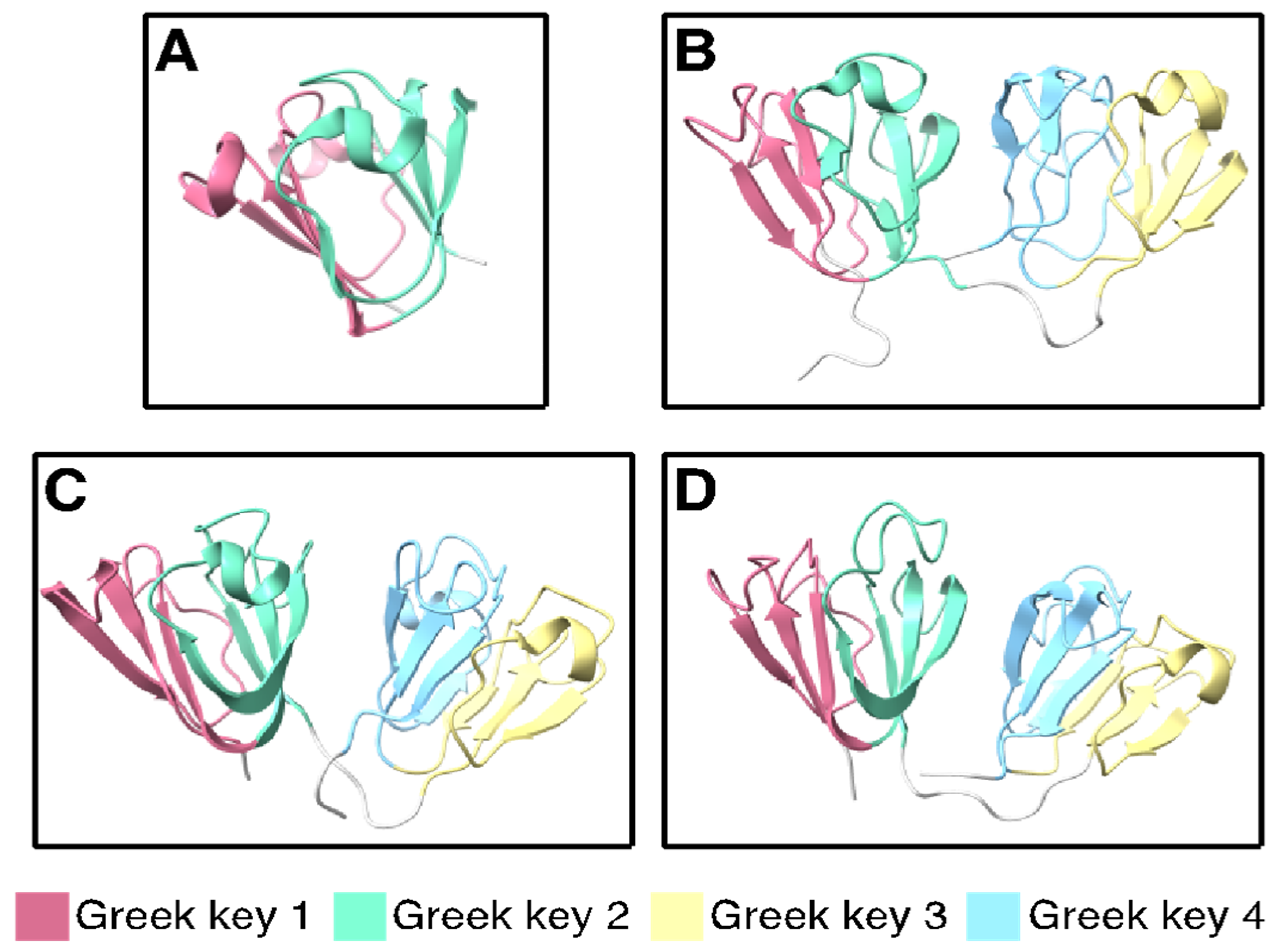 Biomolecules 14 00594 g003