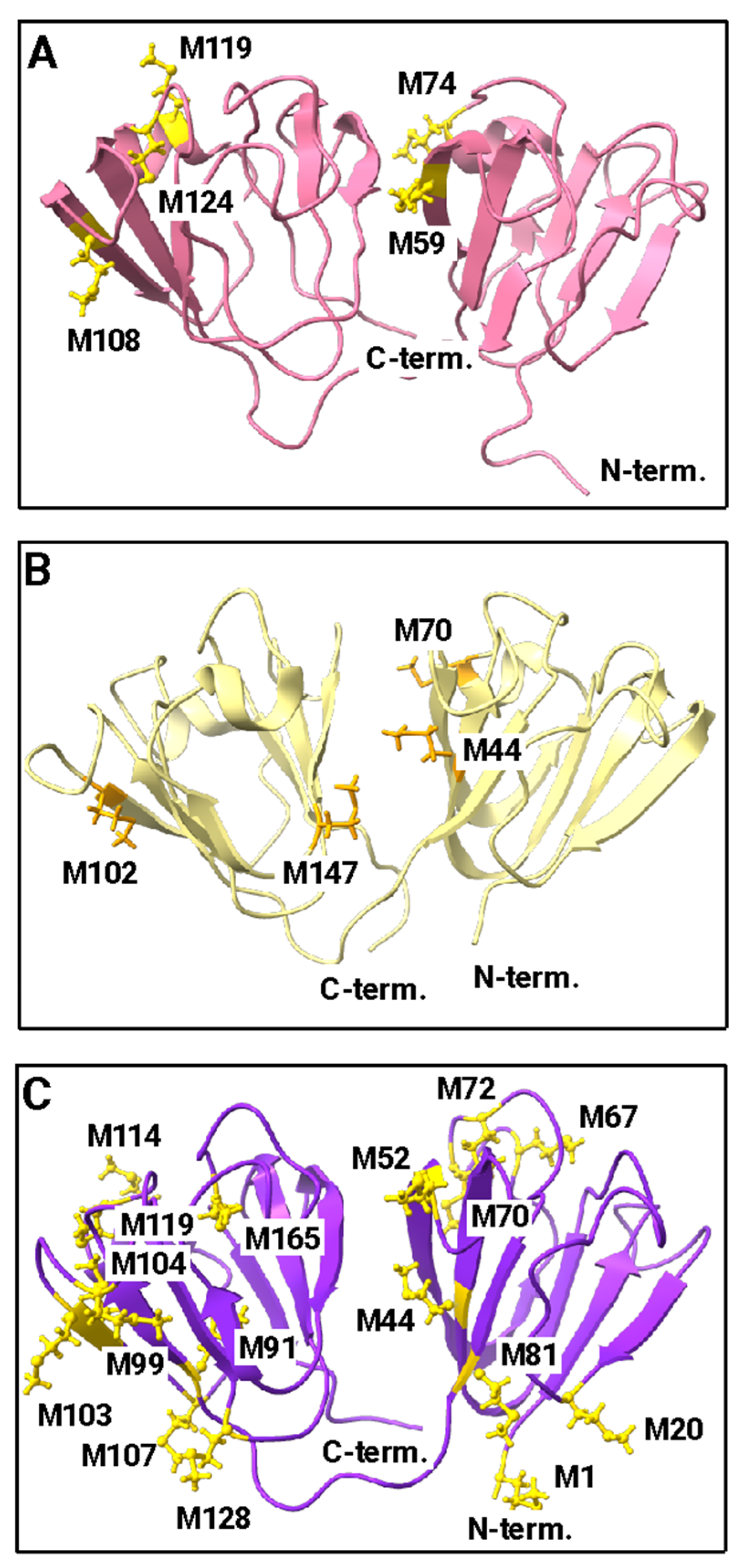 Biomolecules 14 00594 g005