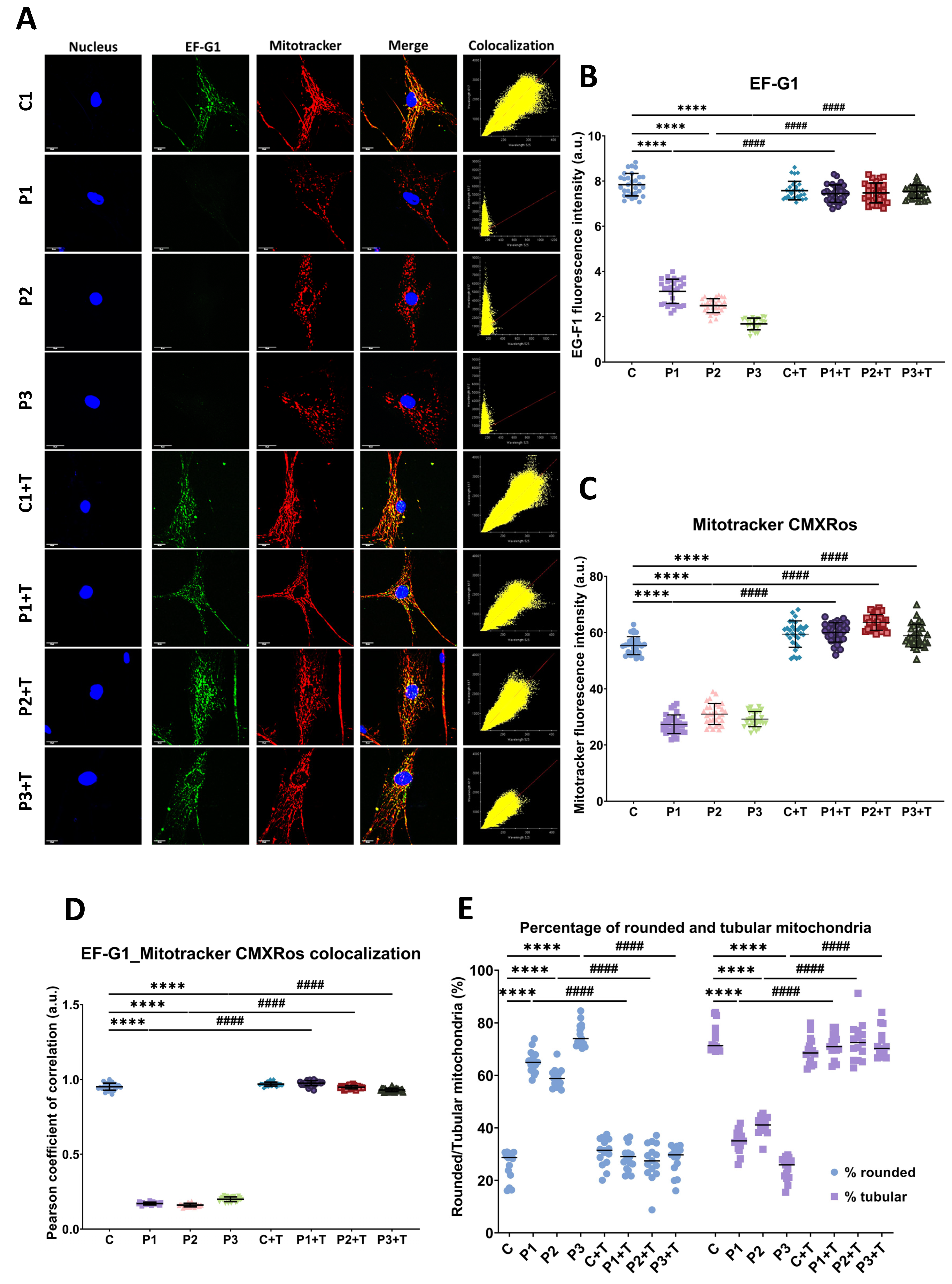 Biomolecules 14 00598 g004