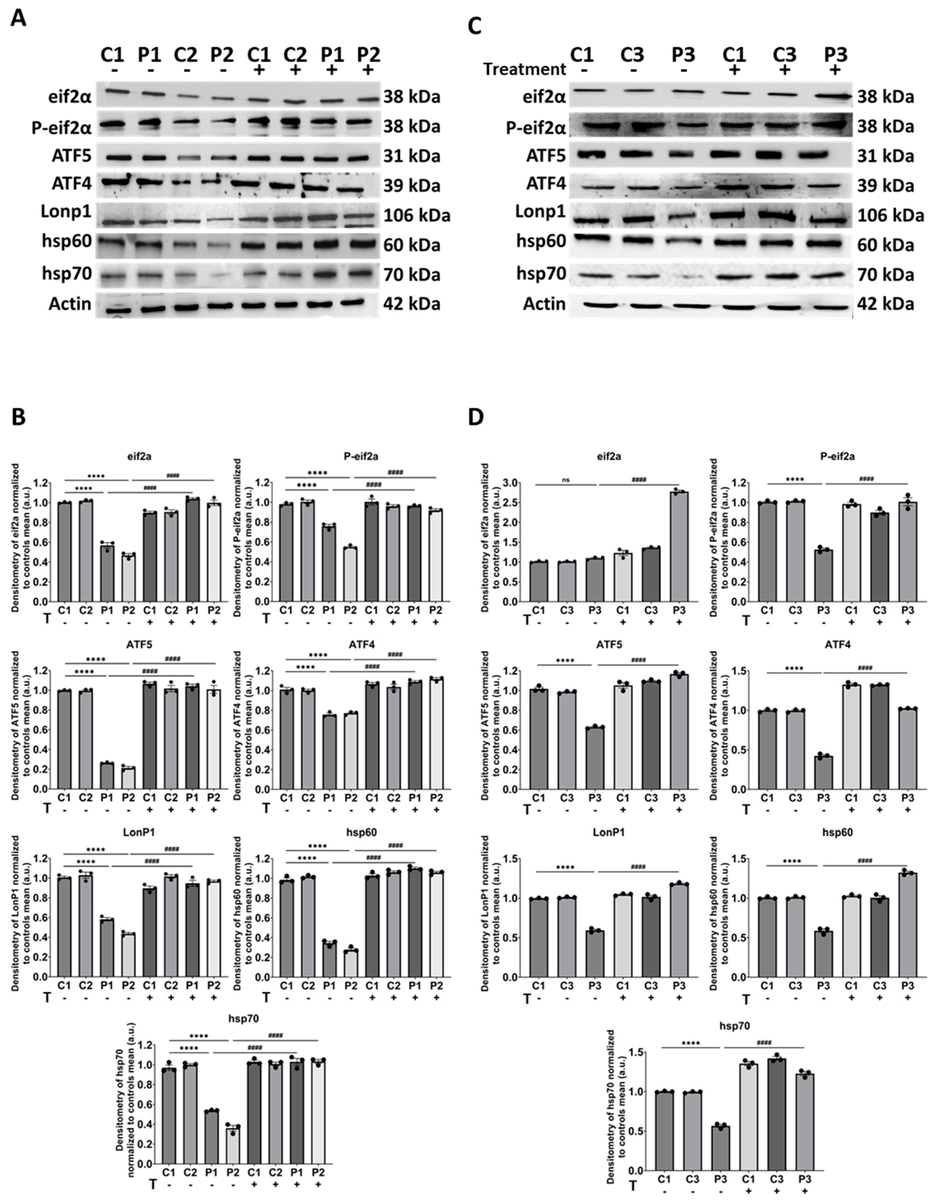 Biomolecules 14 00598 g008