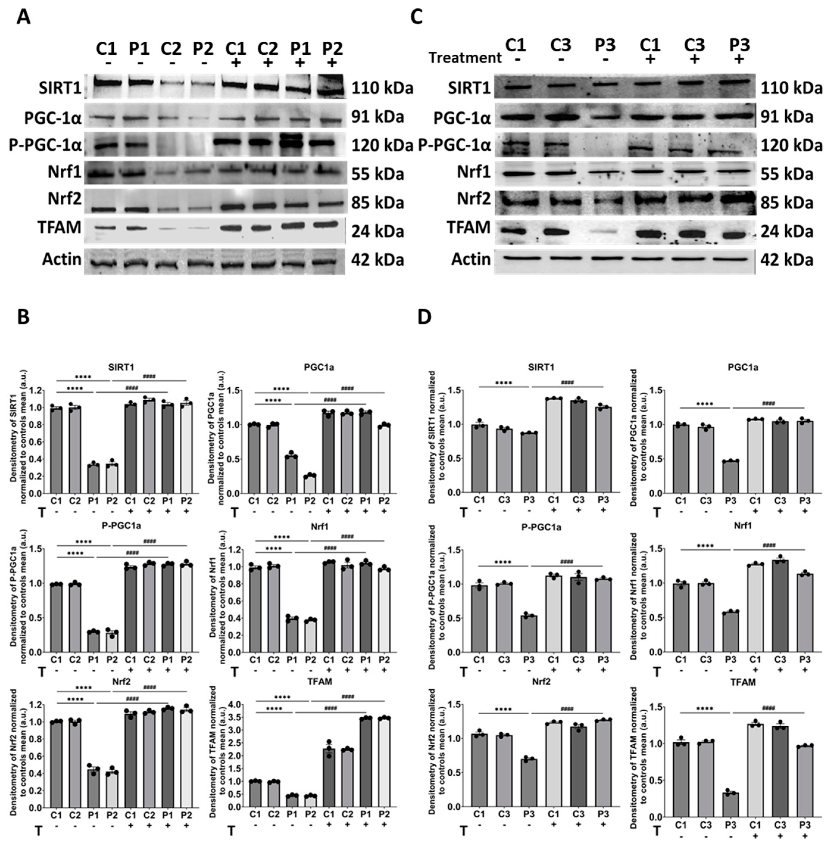 Biomolecules 14 00598 g011