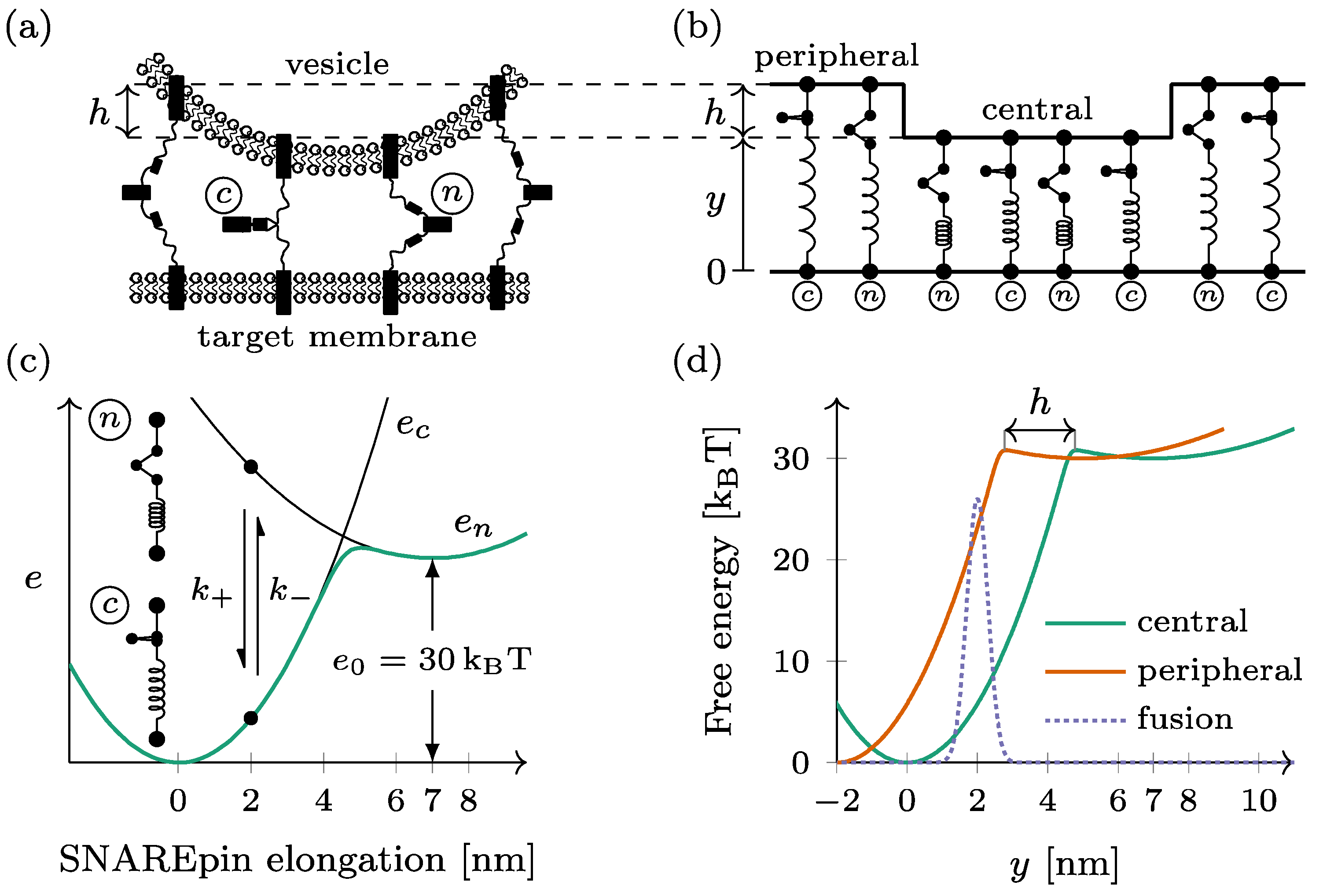 Biomolecules 14 00600 g001
