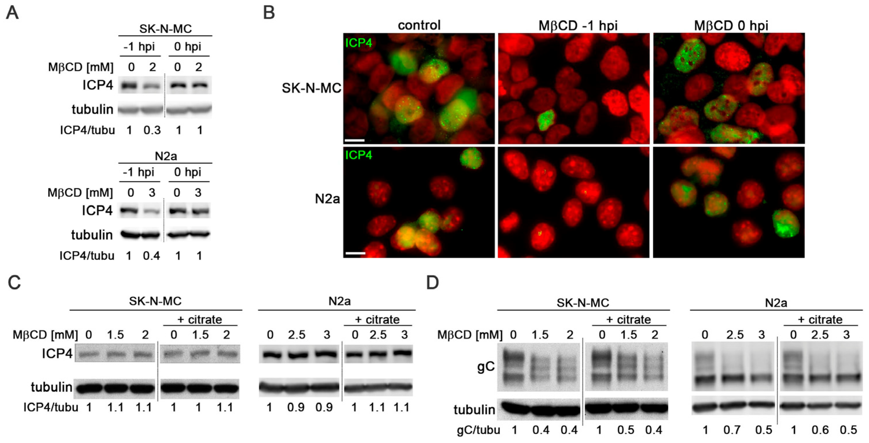 Biomolecules 14 00603 g004