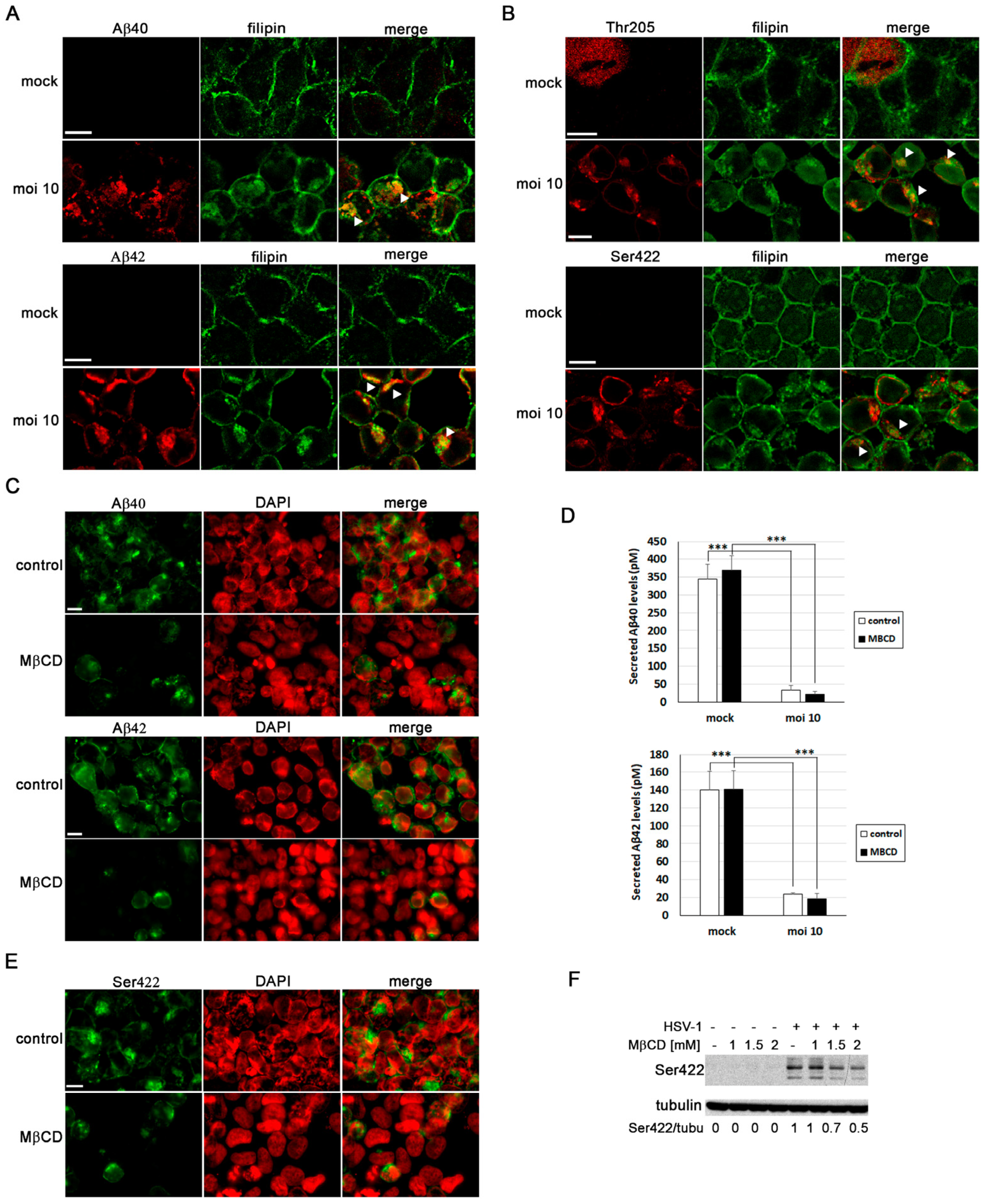 Biomolecules 14 00603 g006