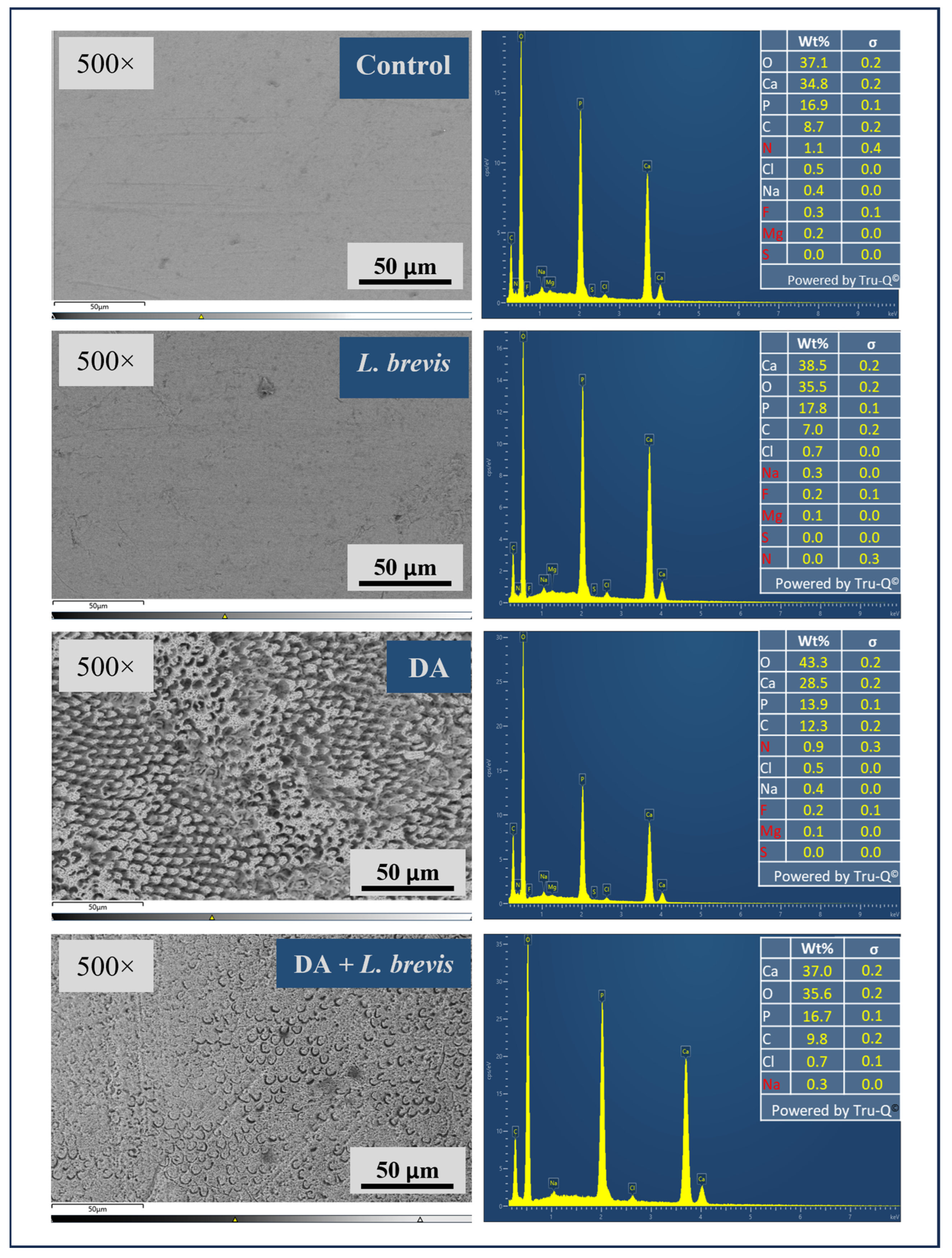 Biomolecules 14 00605 g003