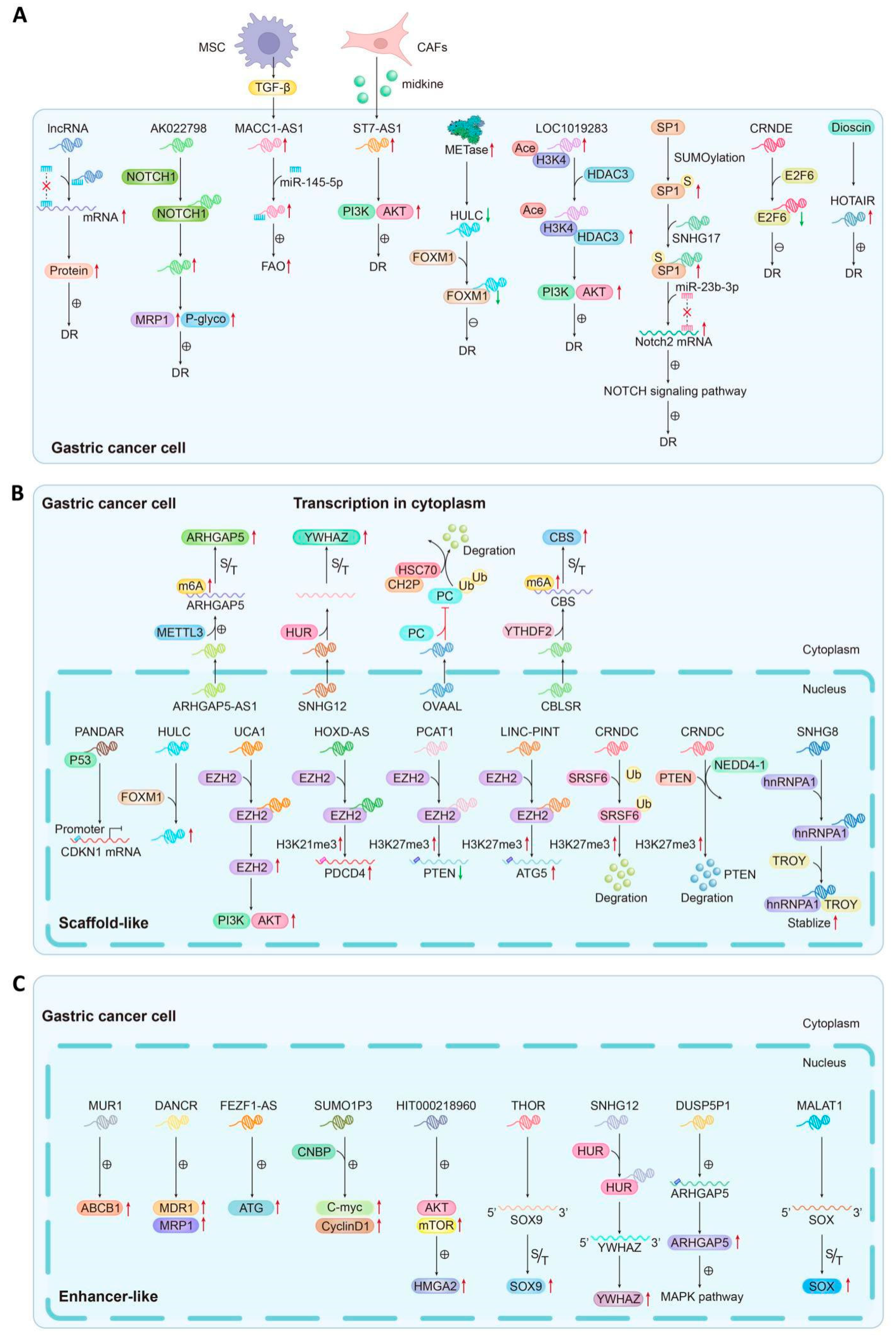 Biomolecules 14 00608 g002