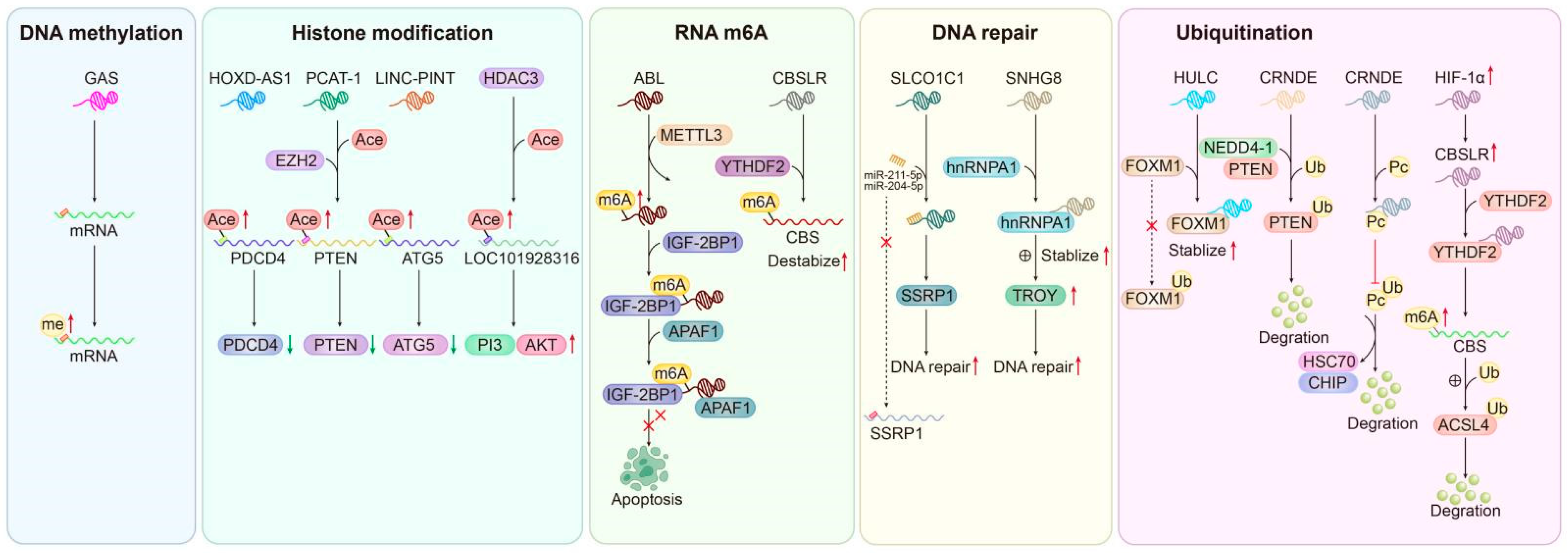 Biomolecules 14 00608 g003
