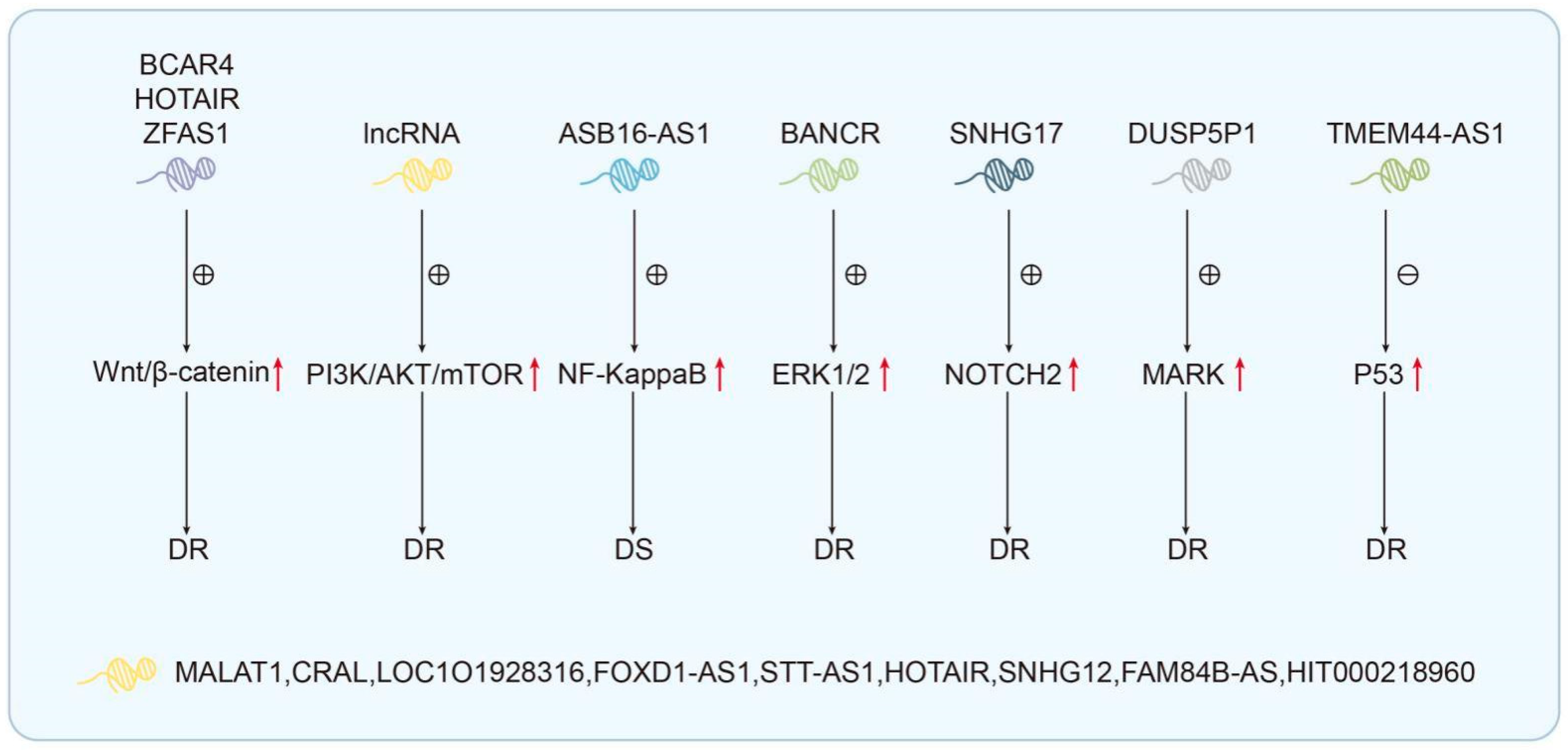 Biomolecules 14 00608 g004