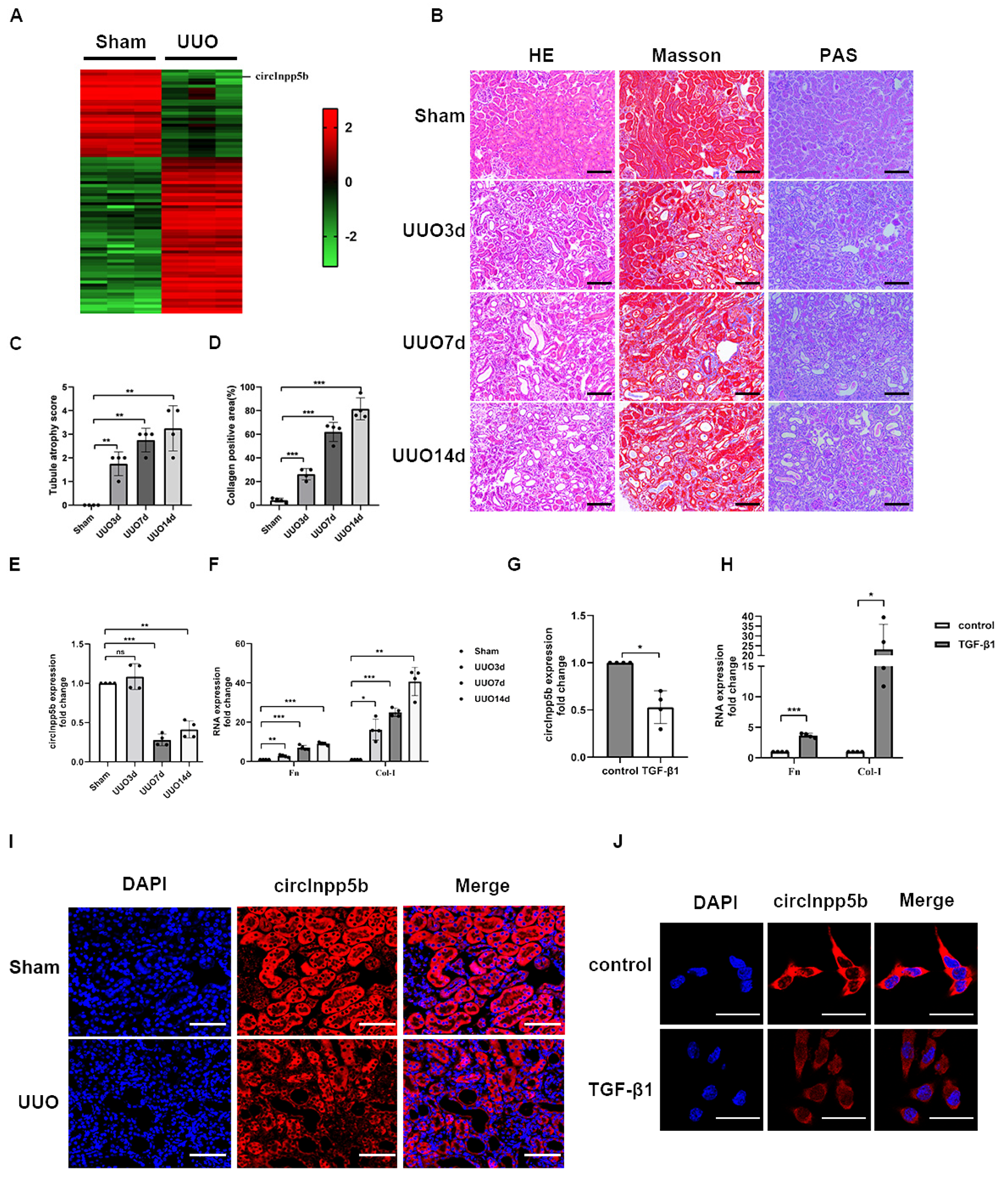 Biomolecules 14 00613 g001