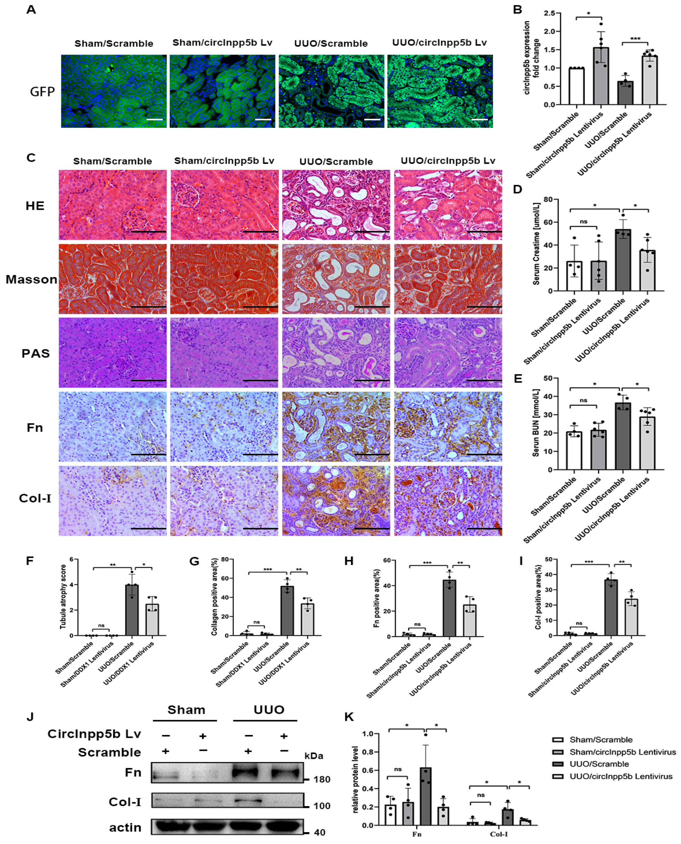 Biomolecules 14 00613 g002