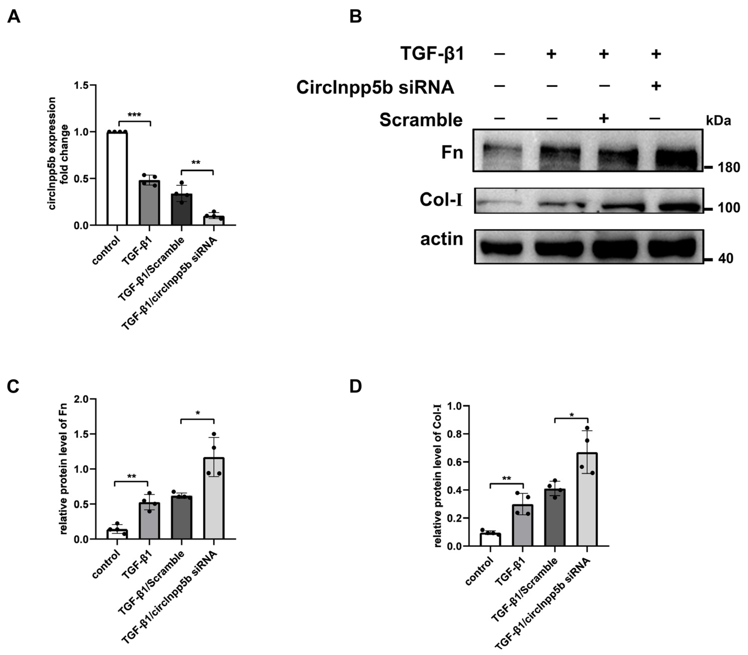 Biomolecules 14 00613 g004