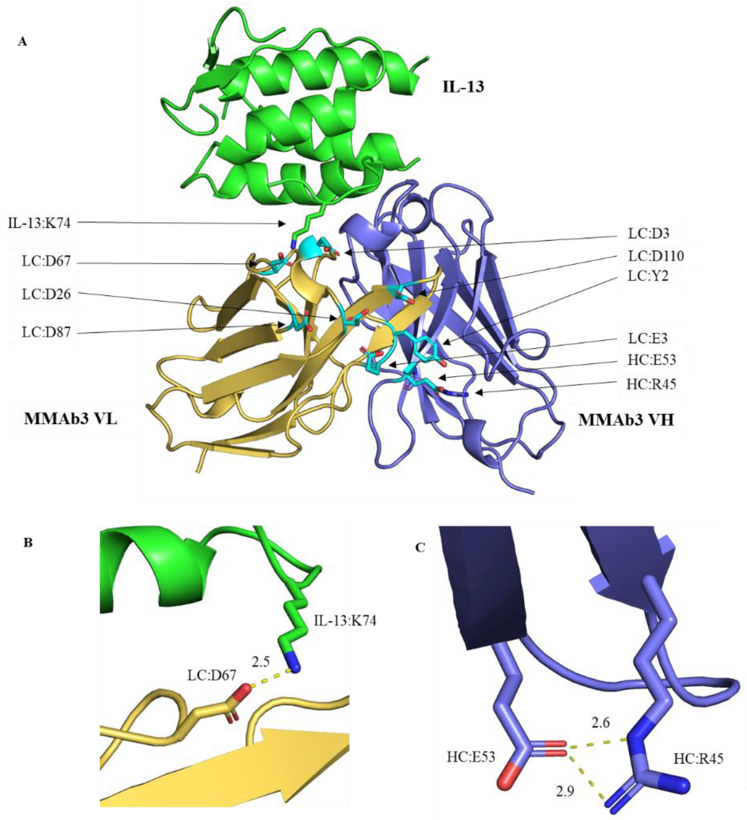 Biomolecules 14 00617 g003