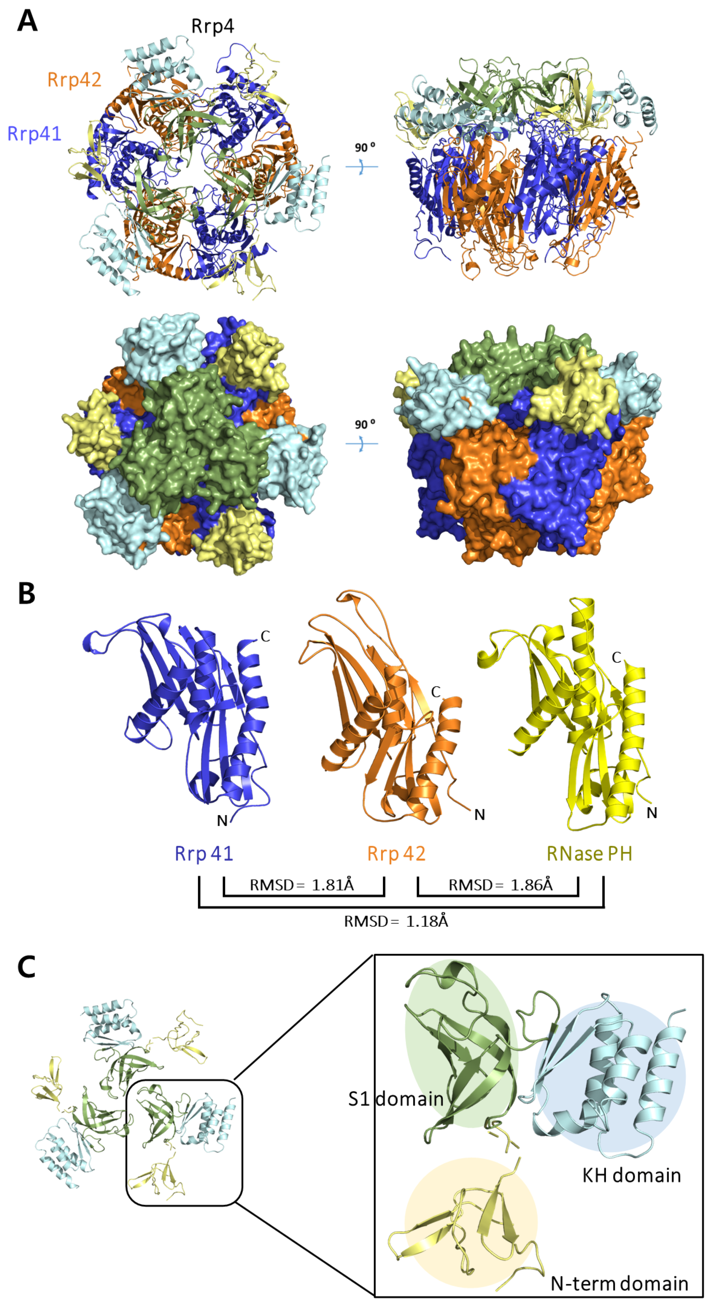 Biomolecules 14 00621 g001