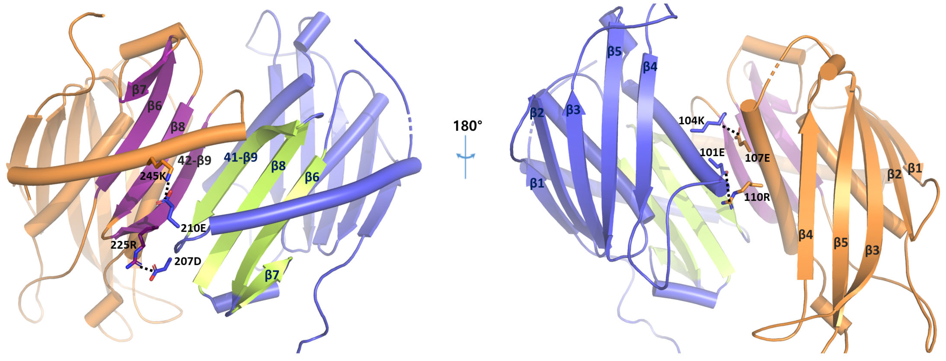 Biomolecules 14 00621 g002