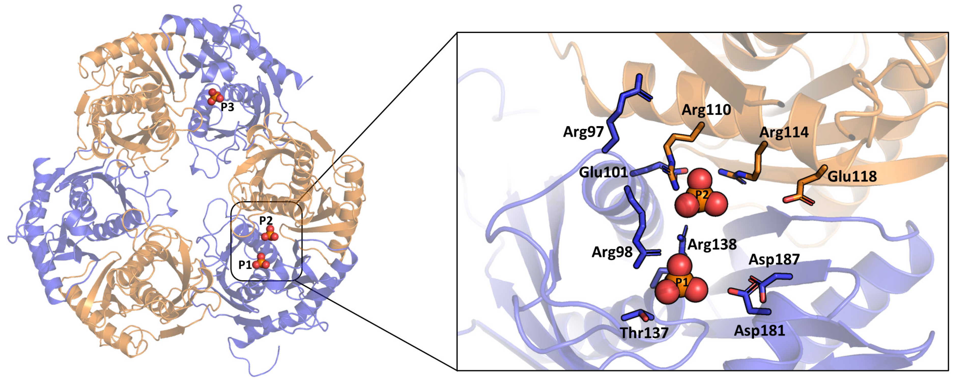 Biomolecules 14 00621 g003
