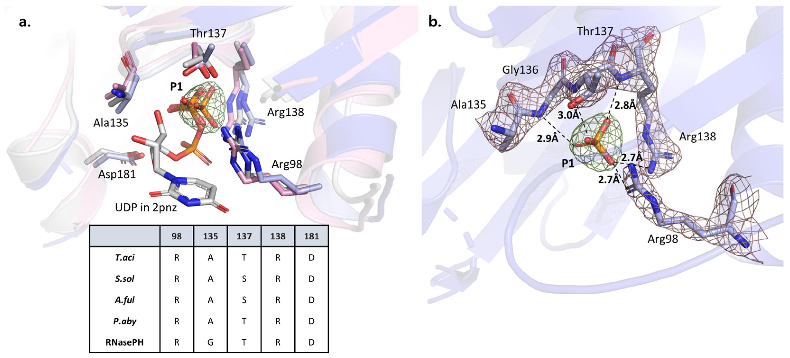 Biomolecules 14 00621 g004