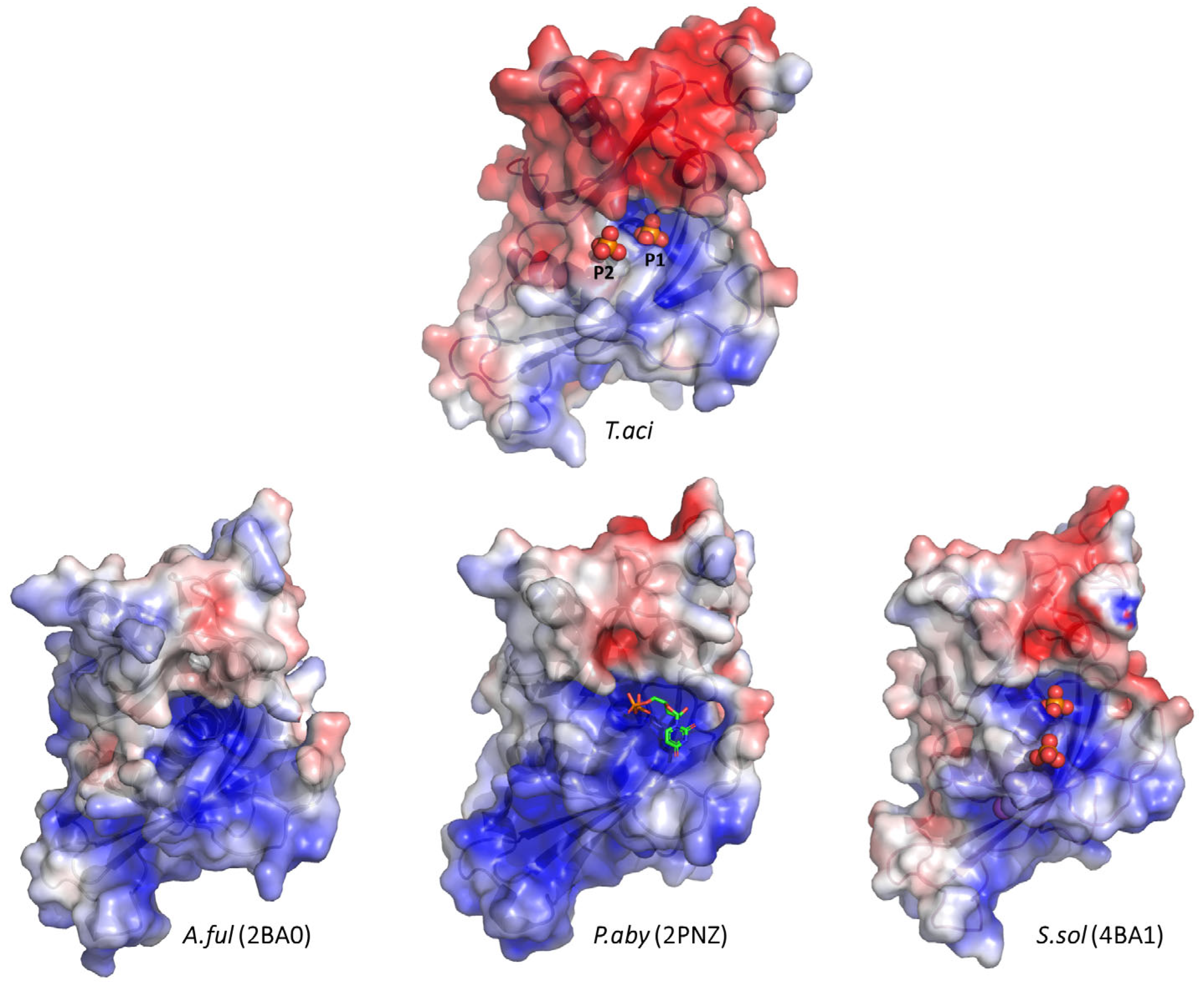 Biomolecules 14 00621 g005