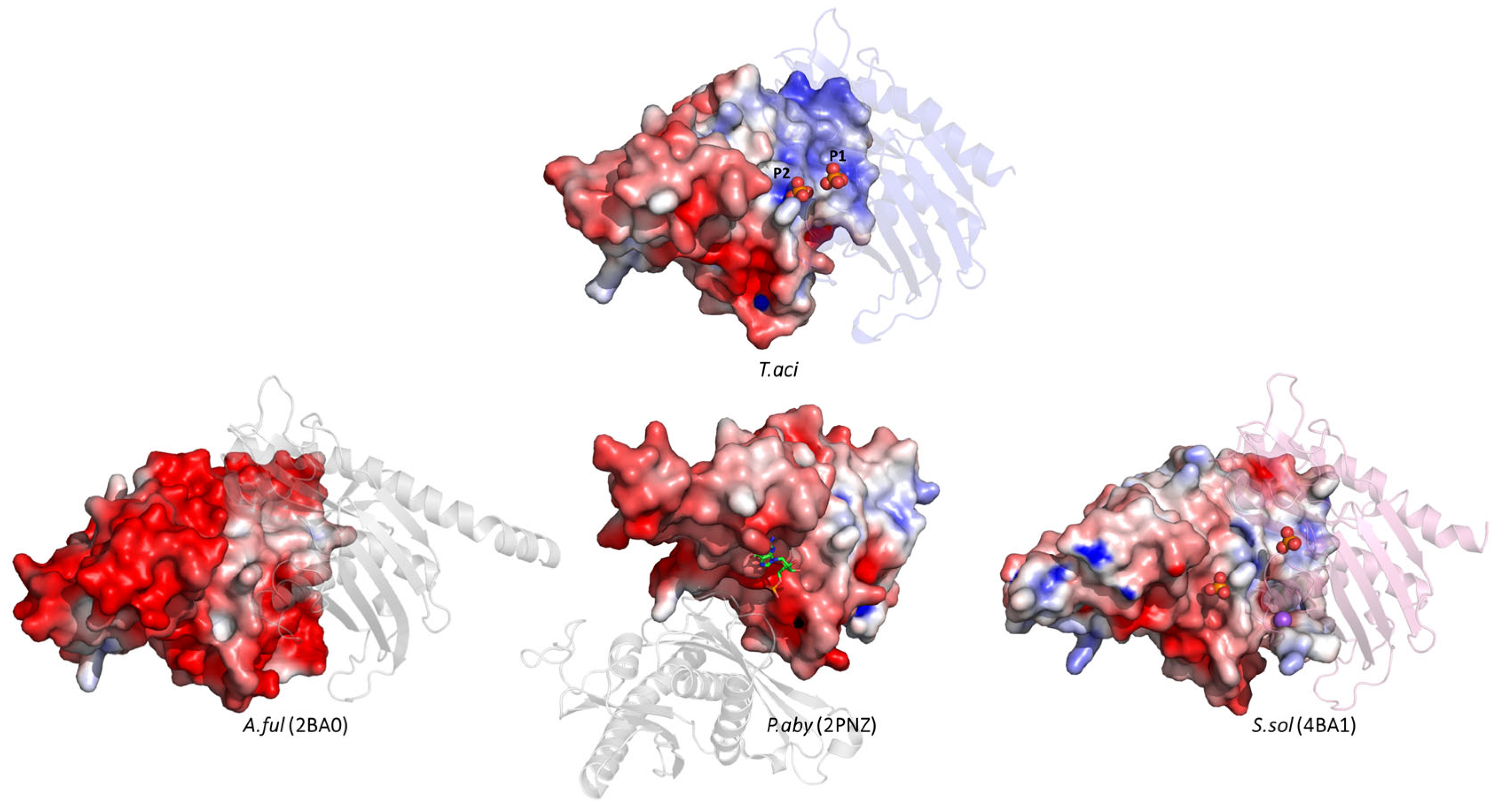 Biomolecules 14 00621 g006