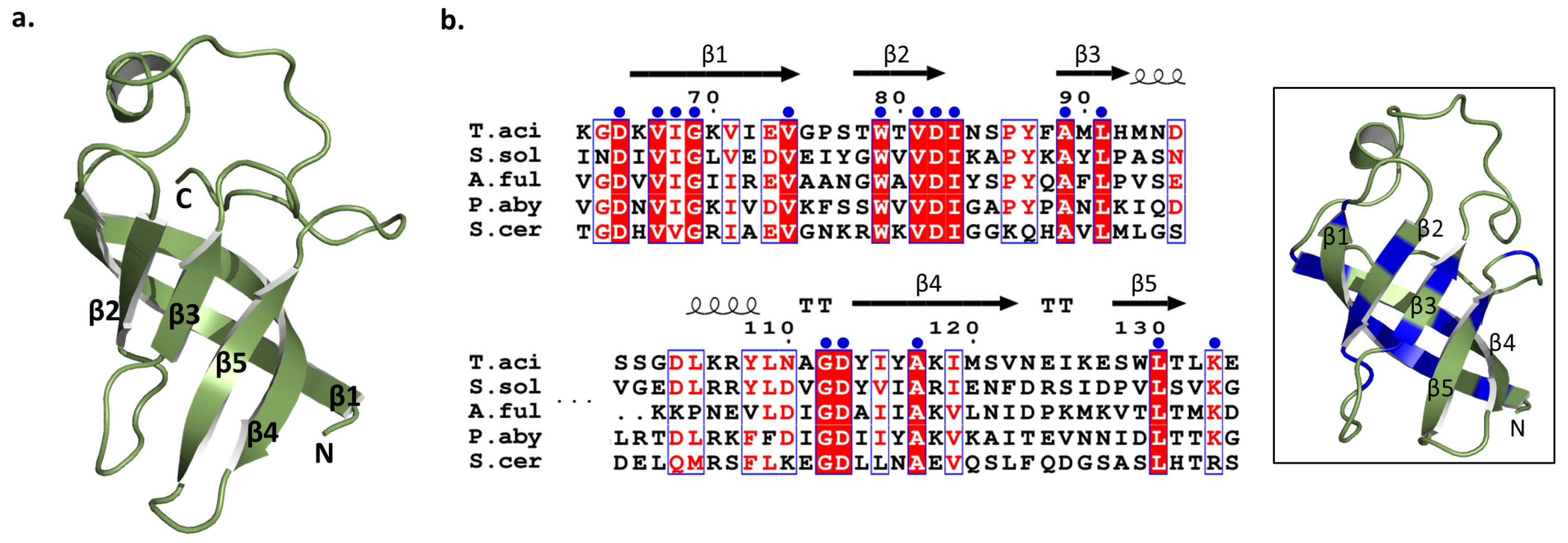 Biomolecules 14 00621 g008