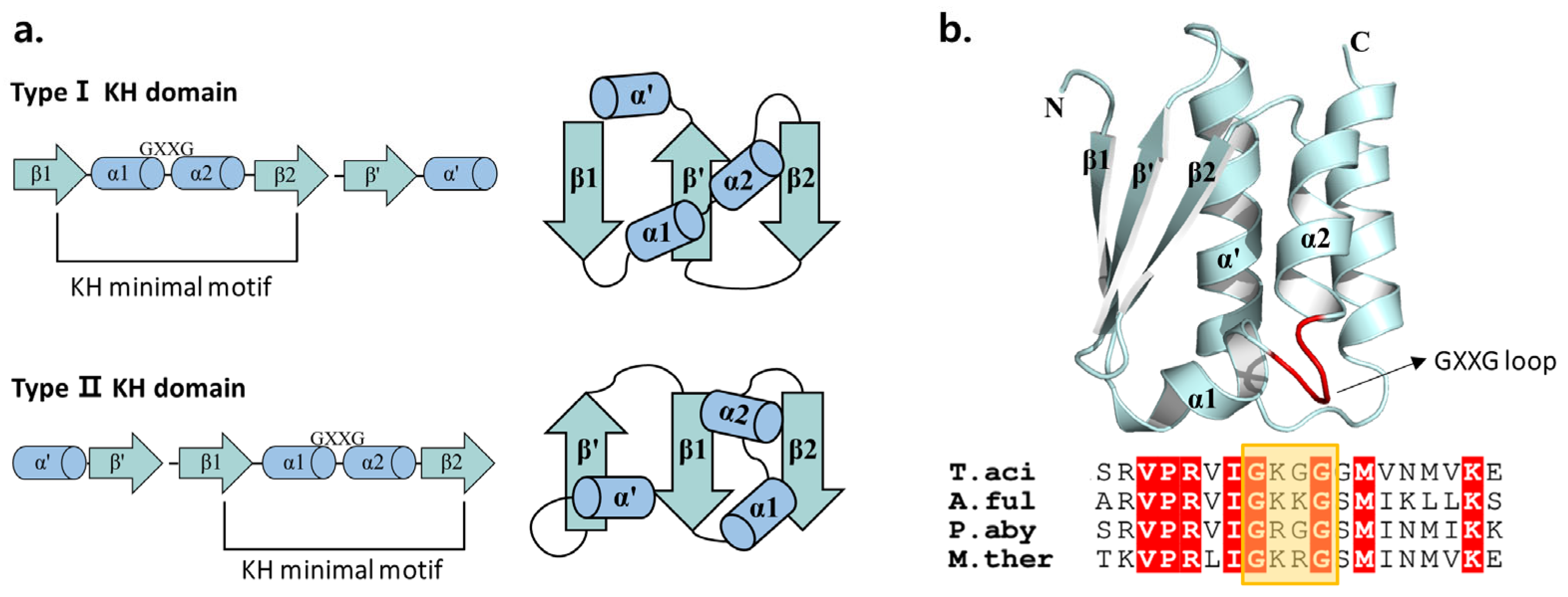 Biomolecules 14 00621 g009