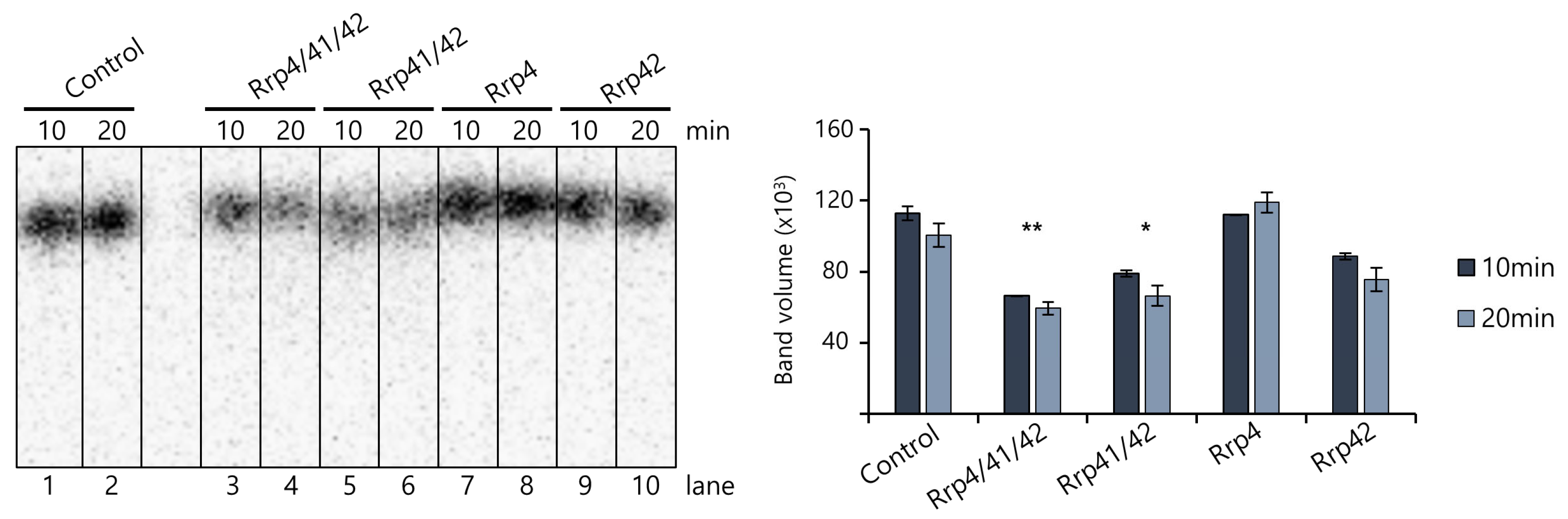 Biomolecules 14 00621 g011