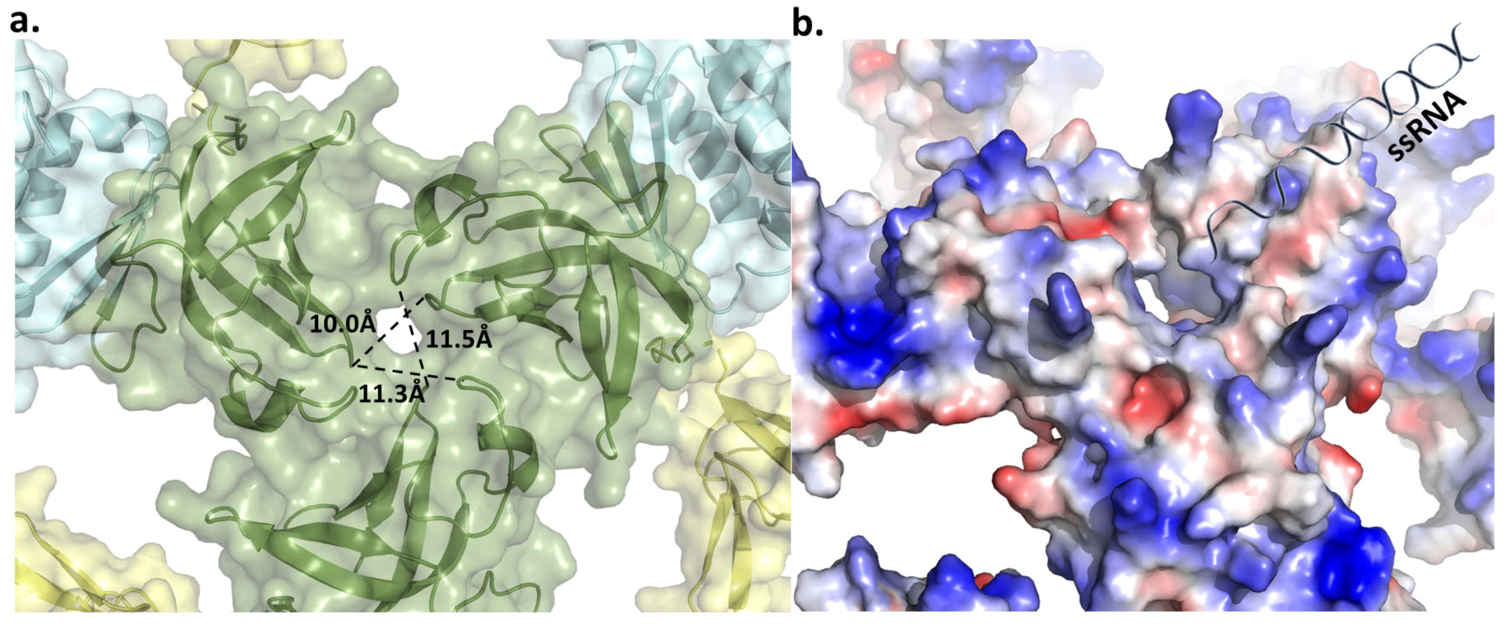 Biomolecules 14 00621 g014