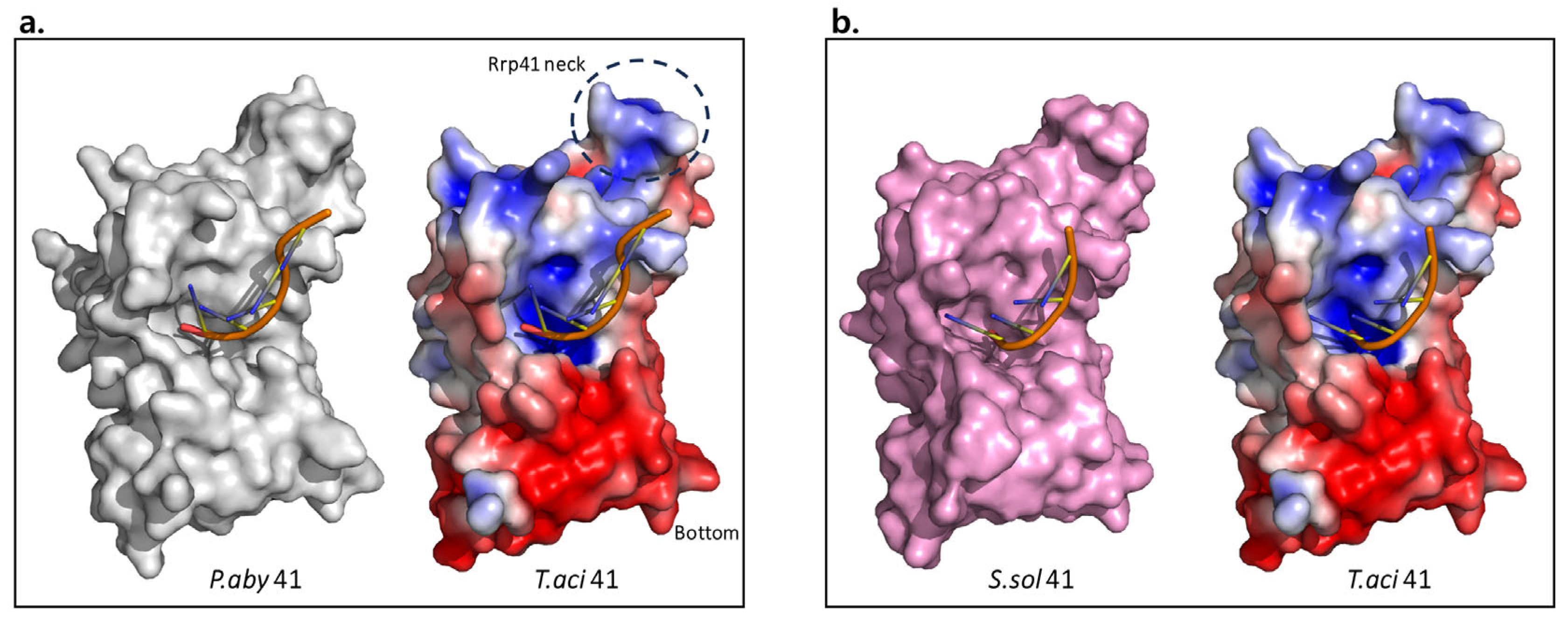 Biomolecules 14 00621 g016
