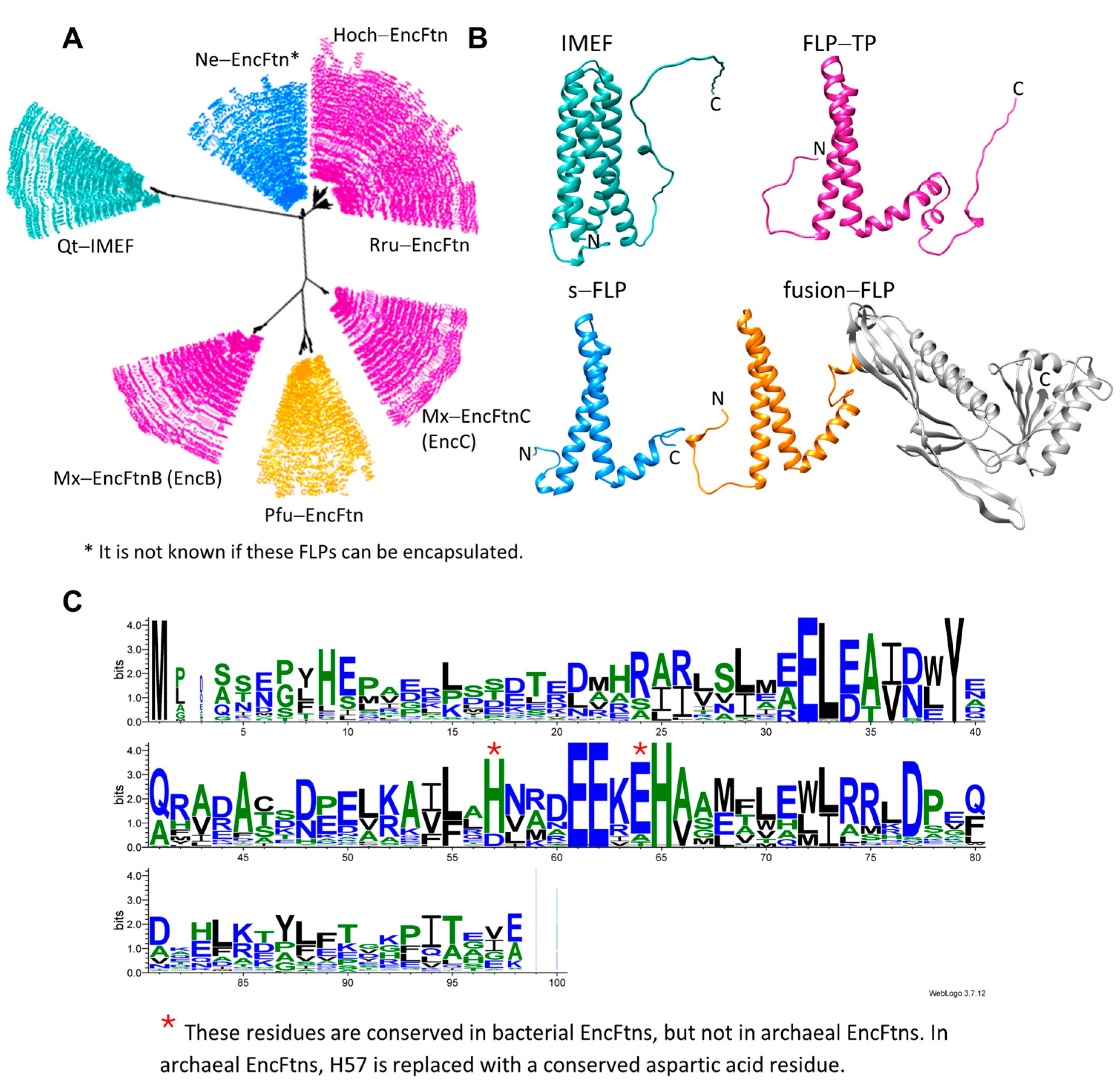 Biomolecules 14 00624 g002